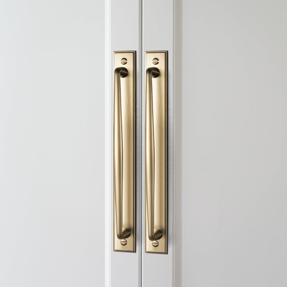 2 Pack Vintage Zinc Alloy Cabinet Pulls with Back Plate - Furniture Handles for Kitchen Cupboards