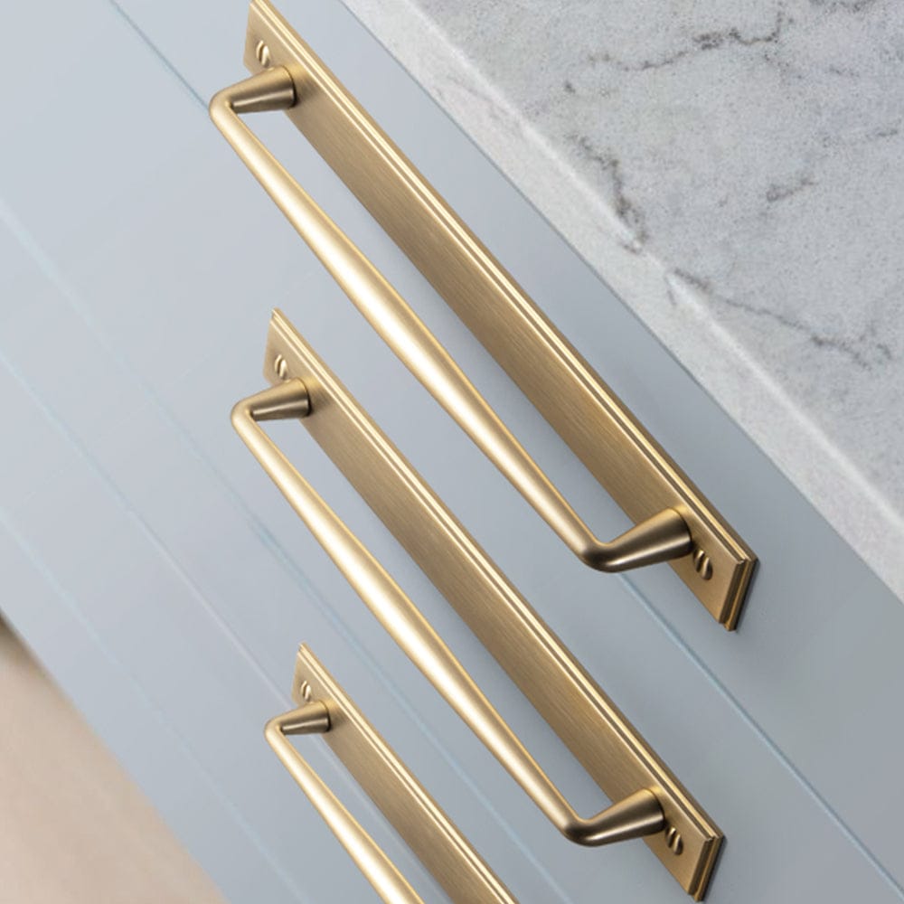2 Pack Vintage Zinc Alloy Cabinet Pulls with Back Plate - Furniture Handles for Kitchen Cupboards