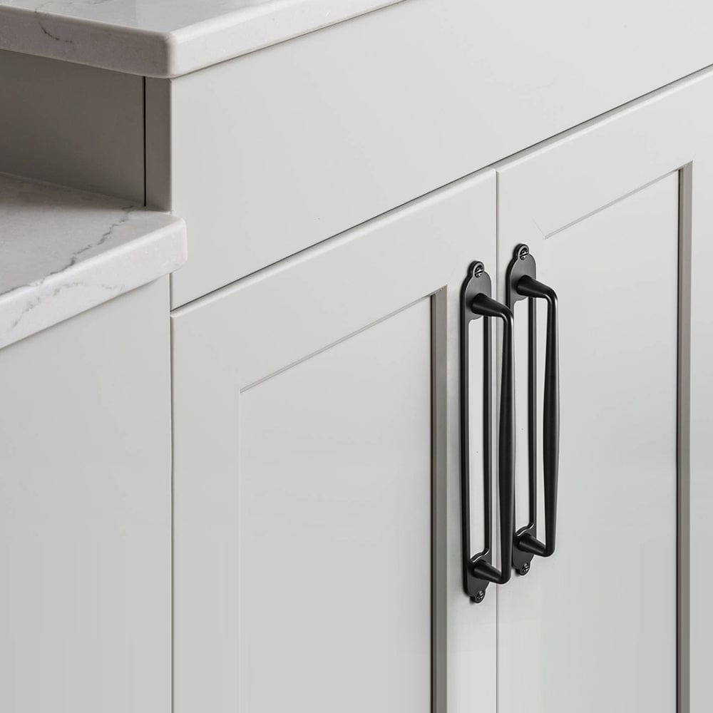 2 Pack Vintage Zinc Alloy Cabinet Pulls with Back Plate - Furniture Handles for Kitchen Cupboards