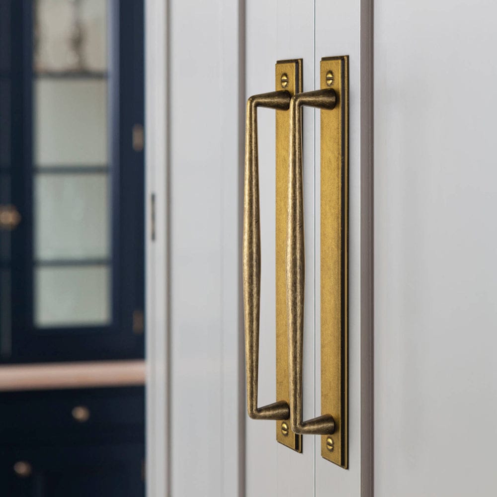 2 Pack Vintage Zinc Alloy Cabinet Pulls with Back Plate - Furniture Handles for Kitchen Cupboards