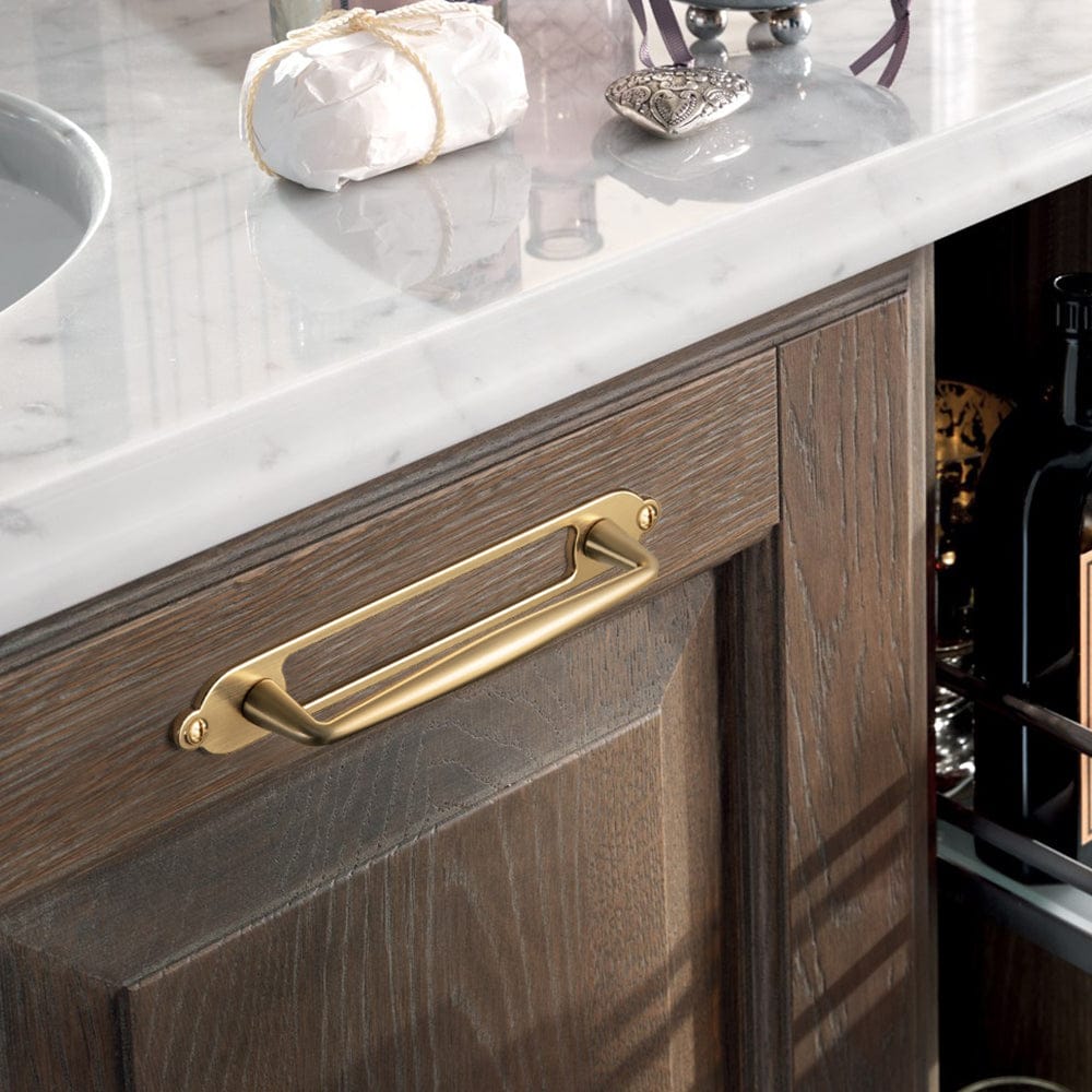 2 Pack Vintage Zinc Alloy Cabinet Pulls with Back Plate - Furniture Handles for Kitchen Cupboards