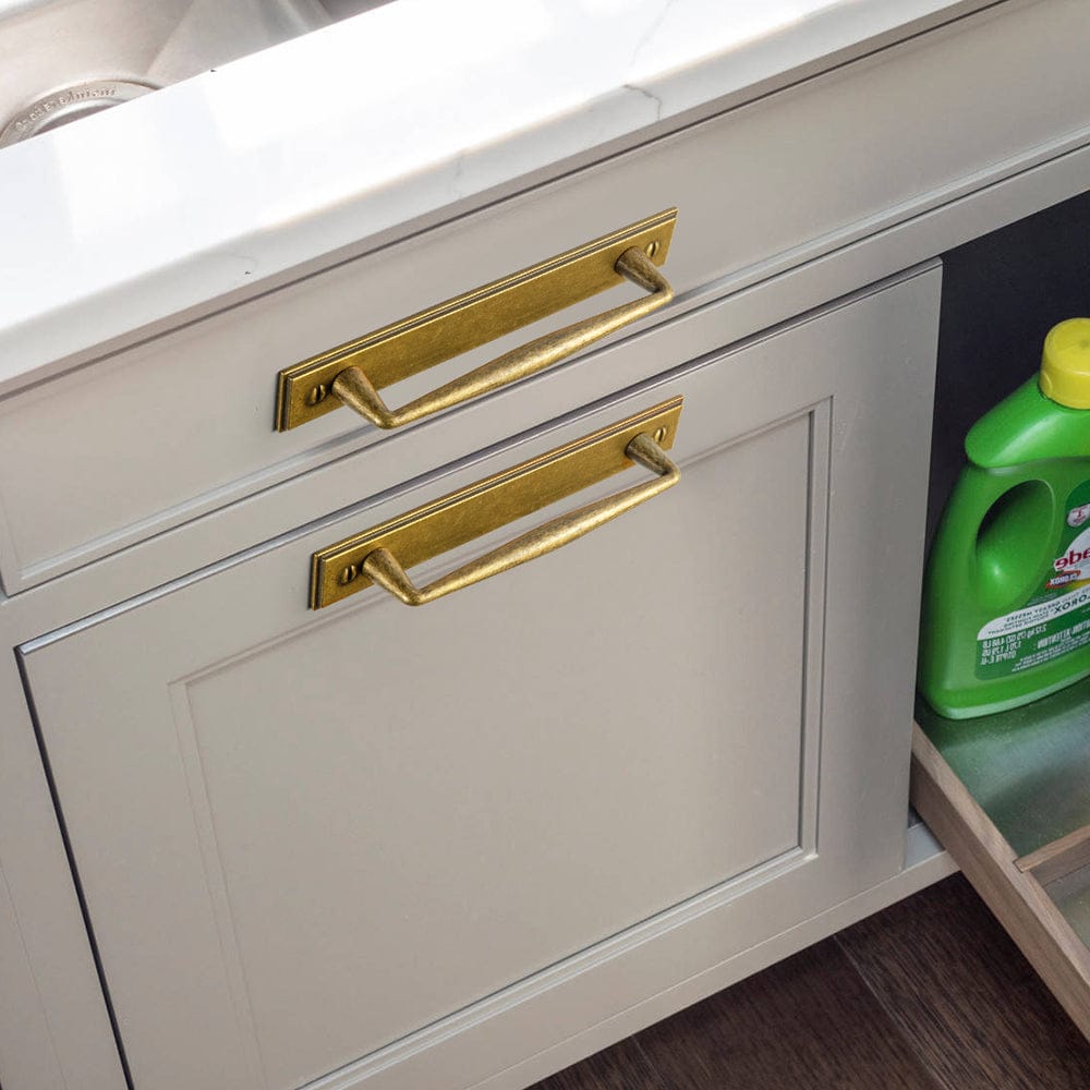 2 Pack Vintage Zinc Alloy Cabinet Pulls with Back Plate - Furniture Handles for Kitchen Cupboards