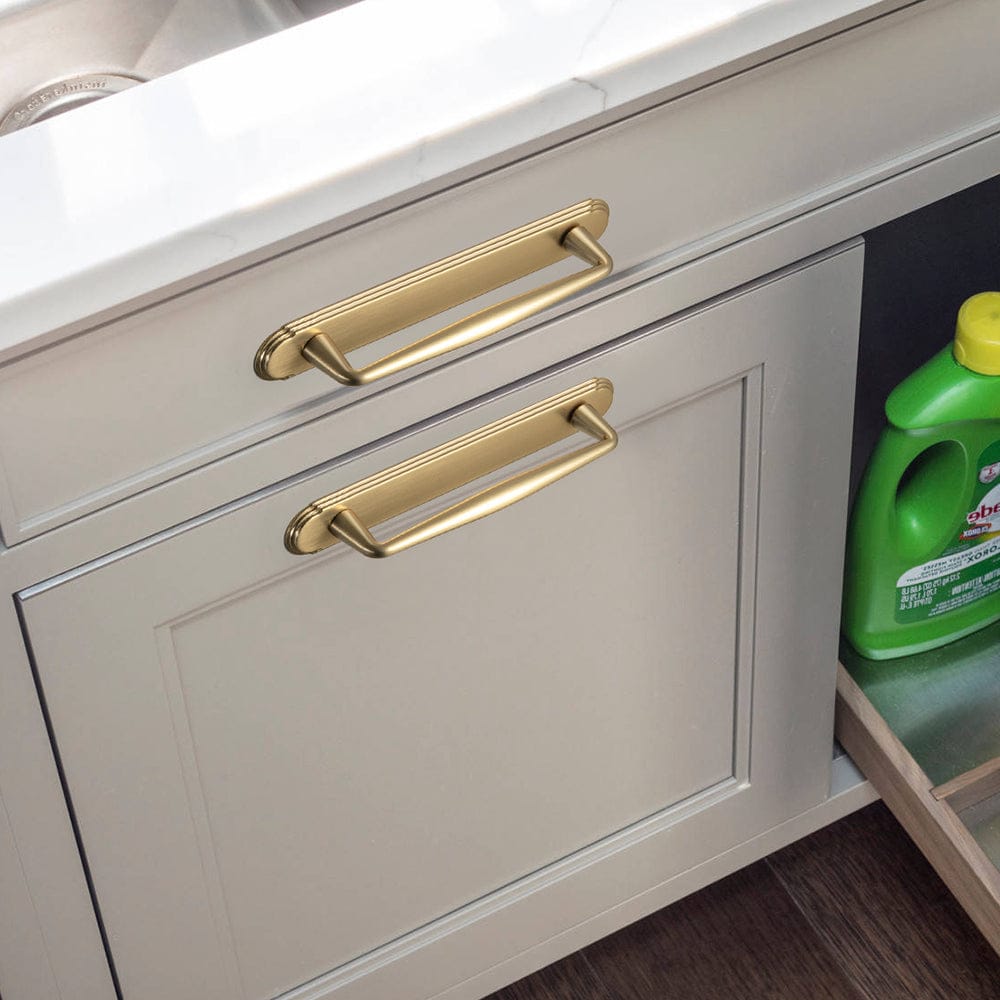 2 Pack Vintage Zinc Alloy Cabinet Pulls with Back Plate - Furniture Handles for Kitchen Cupboards