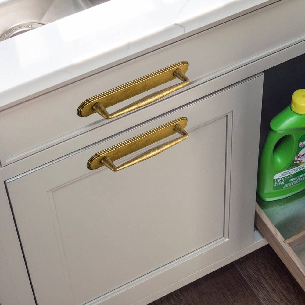 2 Pack Vintage Zinc Alloy Cabinet Pulls with Back Plate - Furniture Handles for Kitchen Cupboards