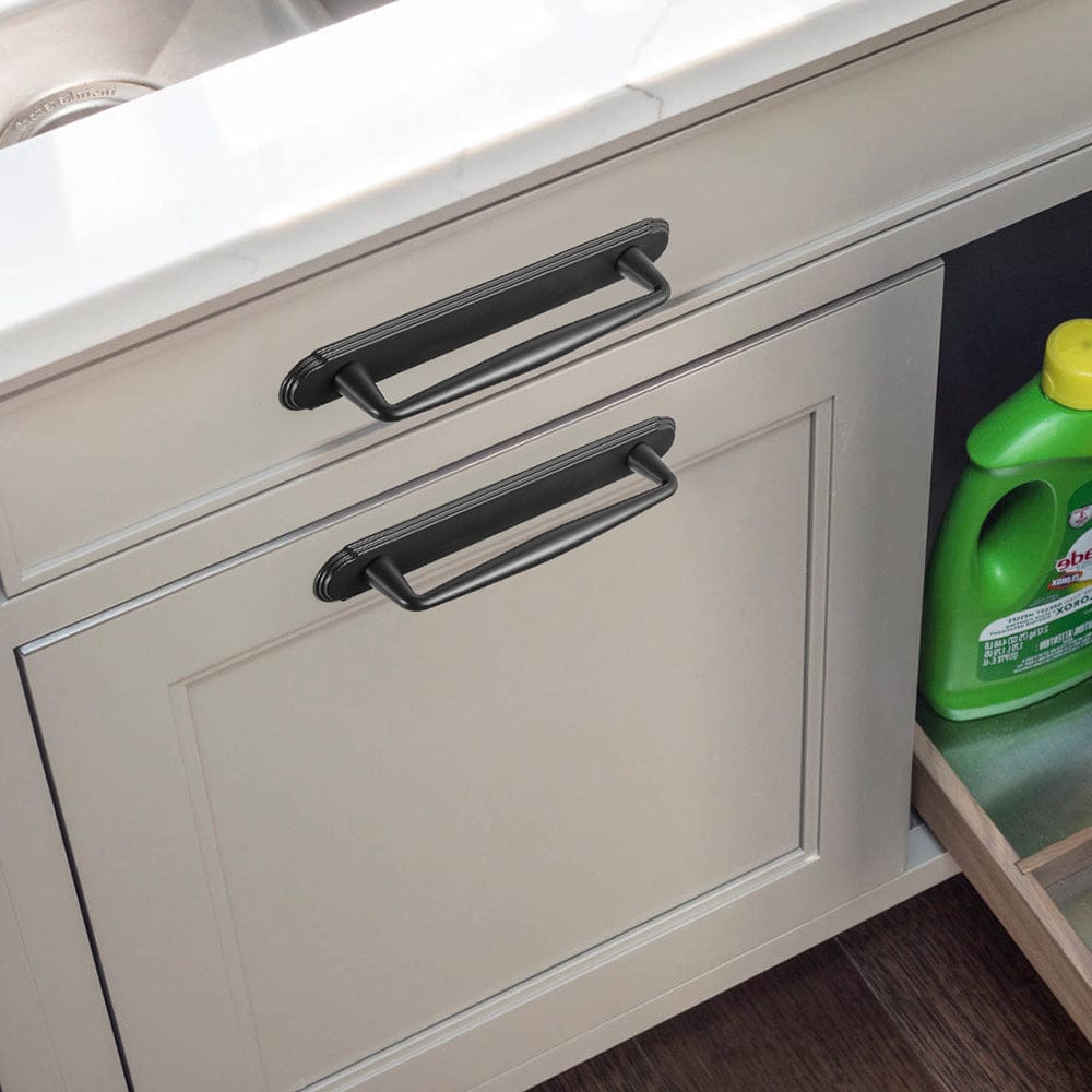 2 Pack Vintage Zinc Alloy Cabinet Pulls with Back Plate - Furniture Handles for Kitchen Cupboards