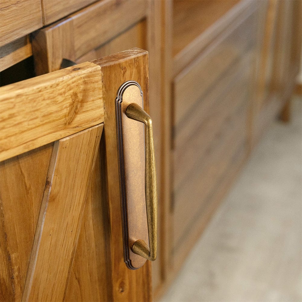 2 Pack Vintage Zinc Alloy Cabinet Pulls with Back Plate - Furniture Handles for Kitchen Cupboards