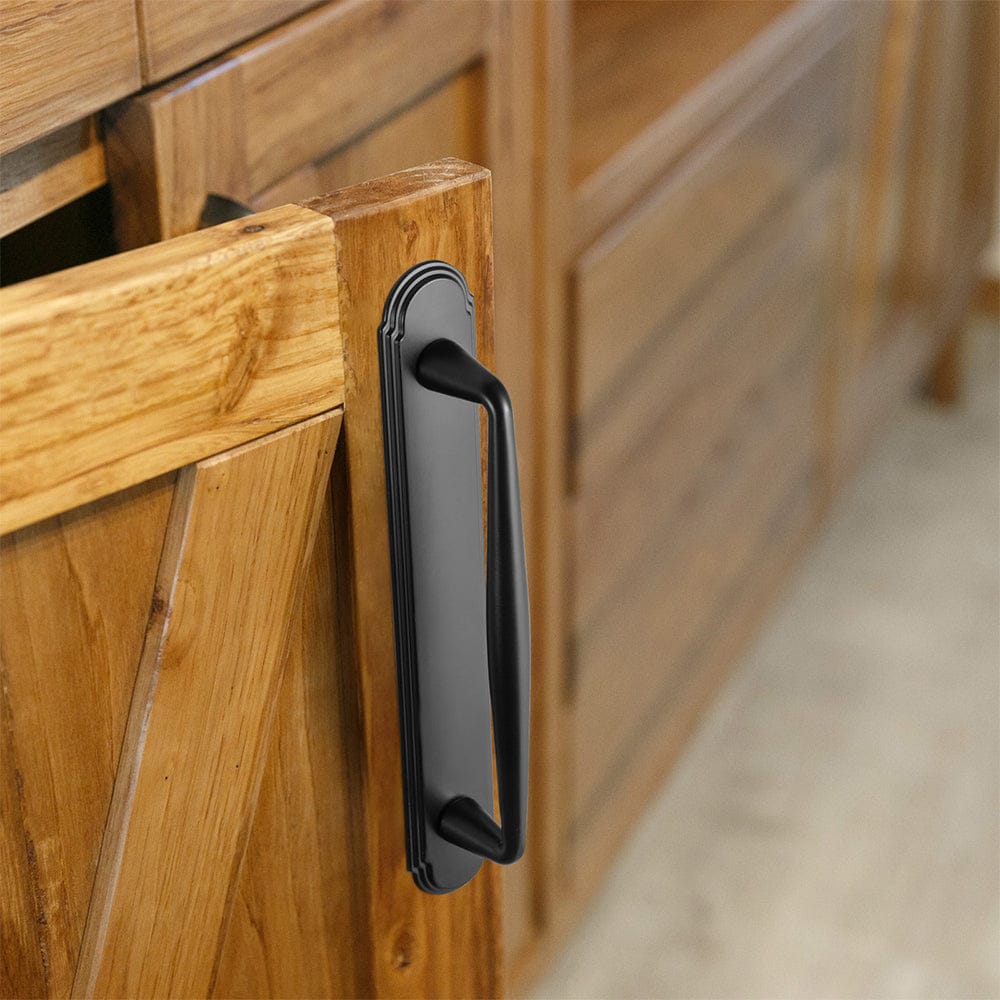 2 Pack Vintage Zinc Alloy Cabinet Pulls with Back Plate - Furniture Handles for Kitchen Cupboards