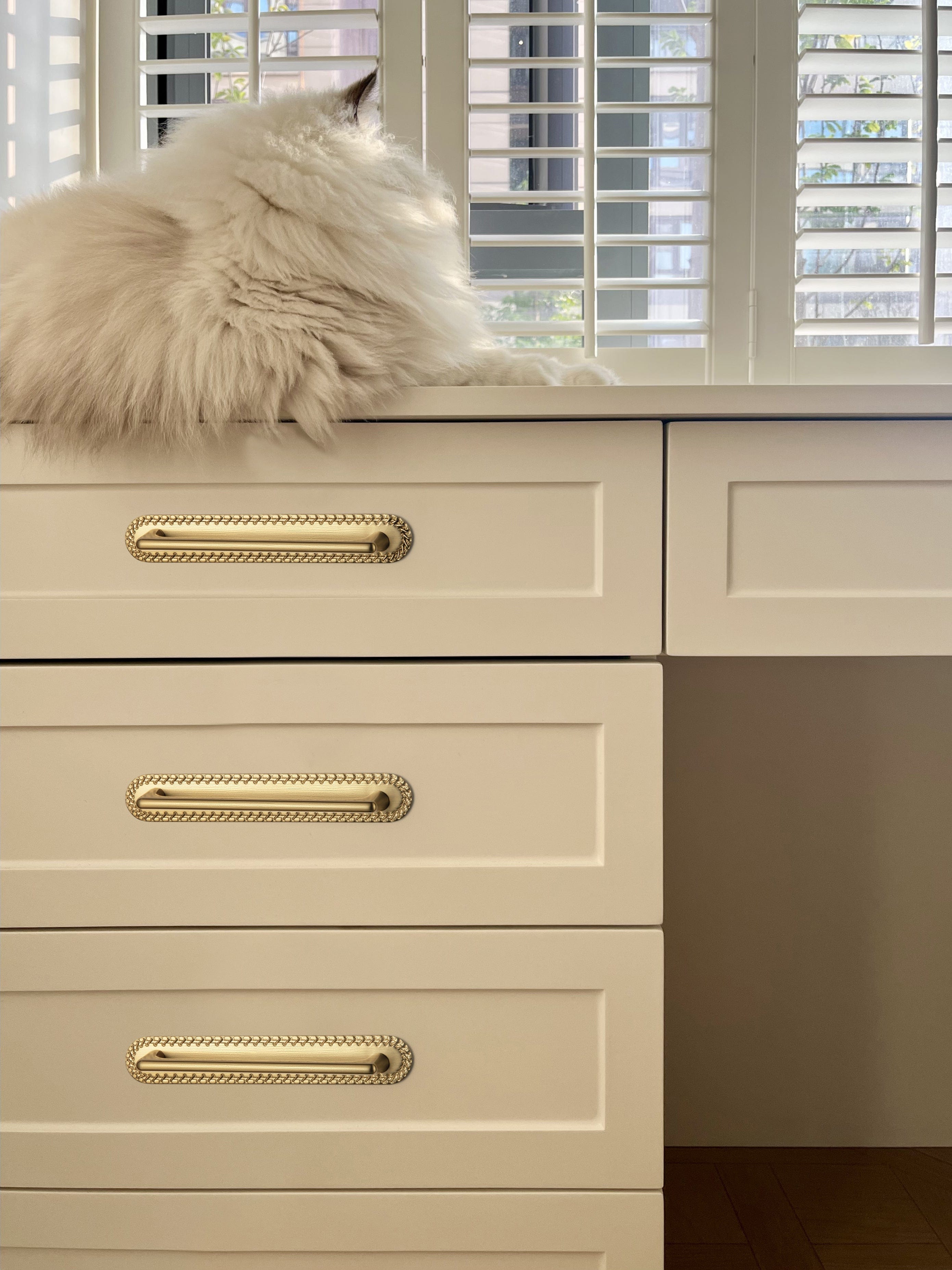 2 Pack Classic Cabinet Bar Pulls with Back Plate Zinc Alloy Cabinet Handle with Long Back Plate