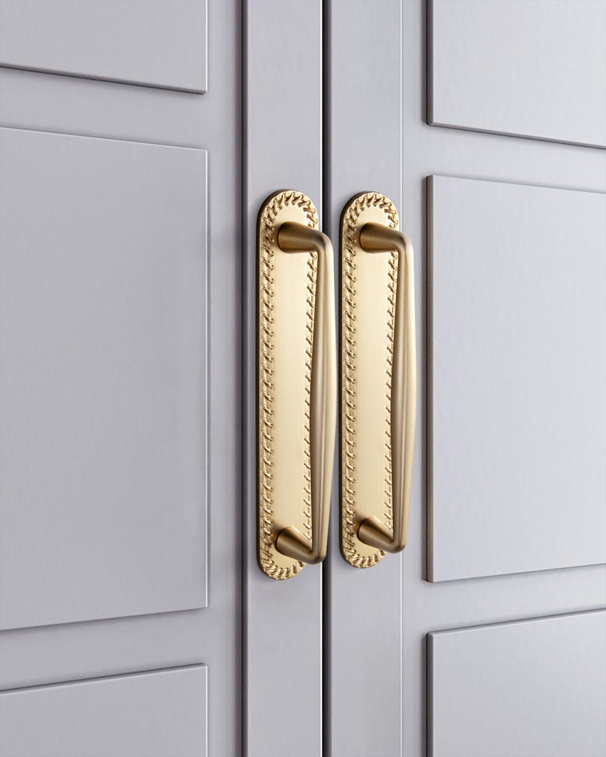 2 Pack Vintage Zinc Alloy Cabinet Pulls with Back Plate - Furniture Handles for Kitchen Cupboards