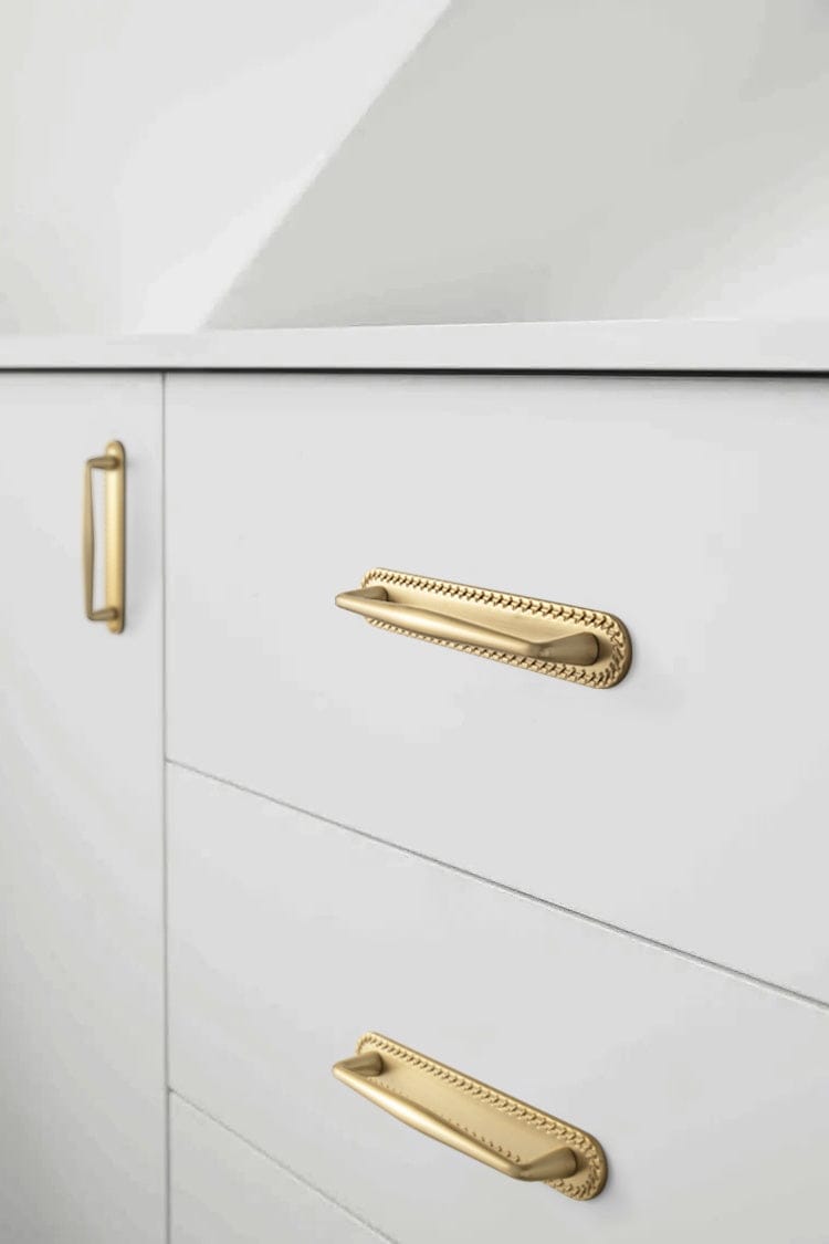 2 Pack Vintage Zinc Alloy Cabinet Pulls with Back Plate - Furniture Handles for Kitchen Cupboards