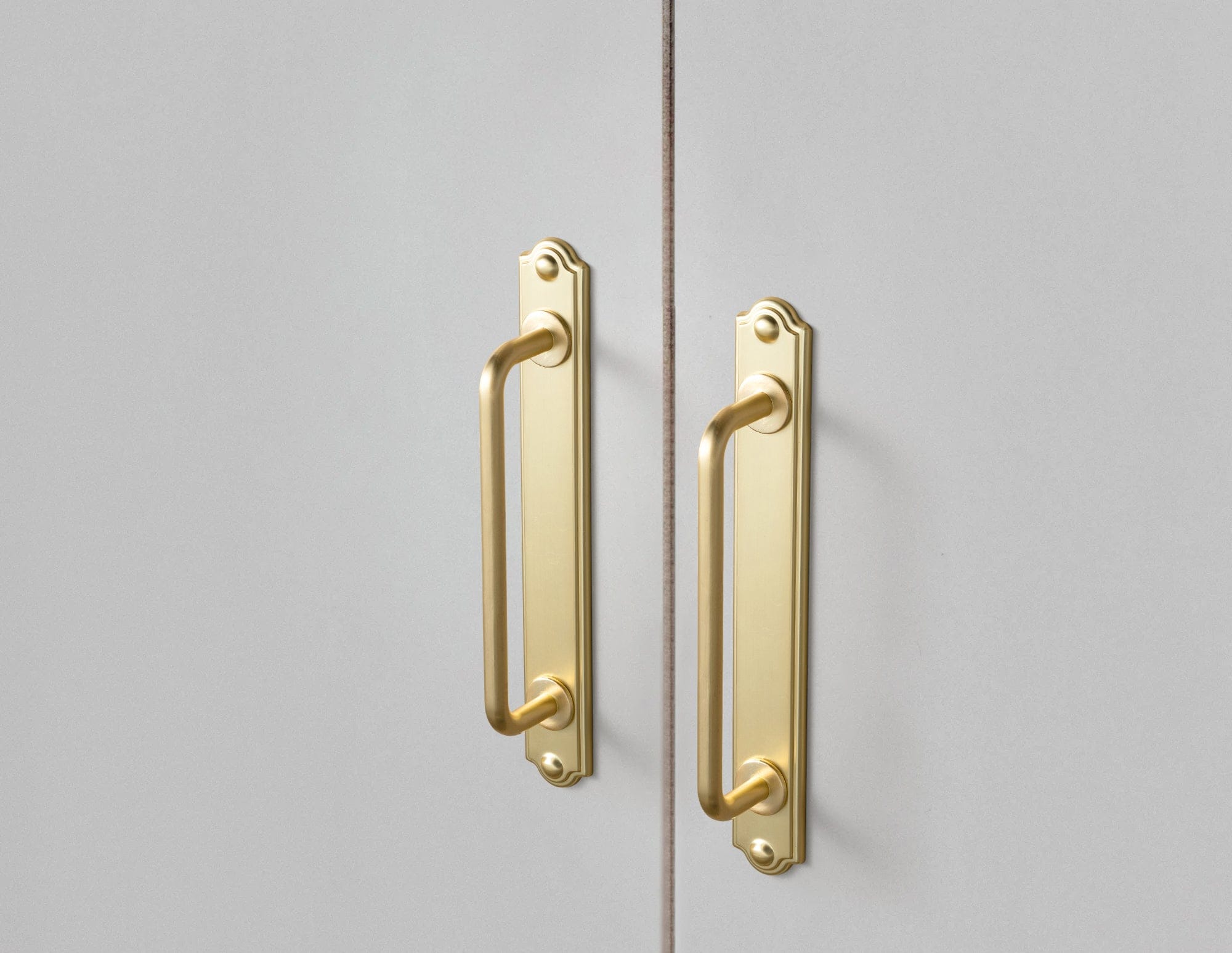 Stylish Contoured Cabinet Handle with Back Plate Decorative Cabinet Hardware