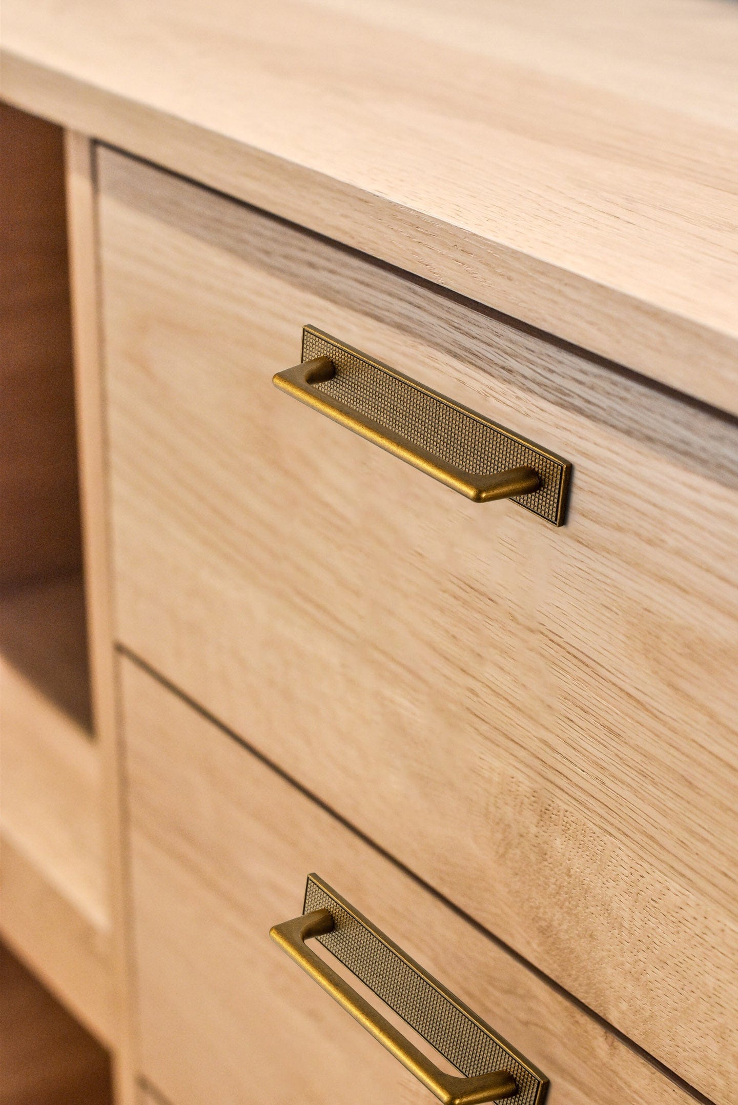 2 Pack Classic Cabinet Bar Pulls with Back Plate Zinc Alloy Cabinet Handle with Long Back Plate