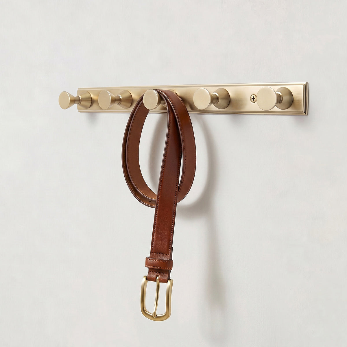 Wall Mount Hook Rail, Zinc Alloy Backplate with Aluminum Hooks for Entryway & Bathroom Organization