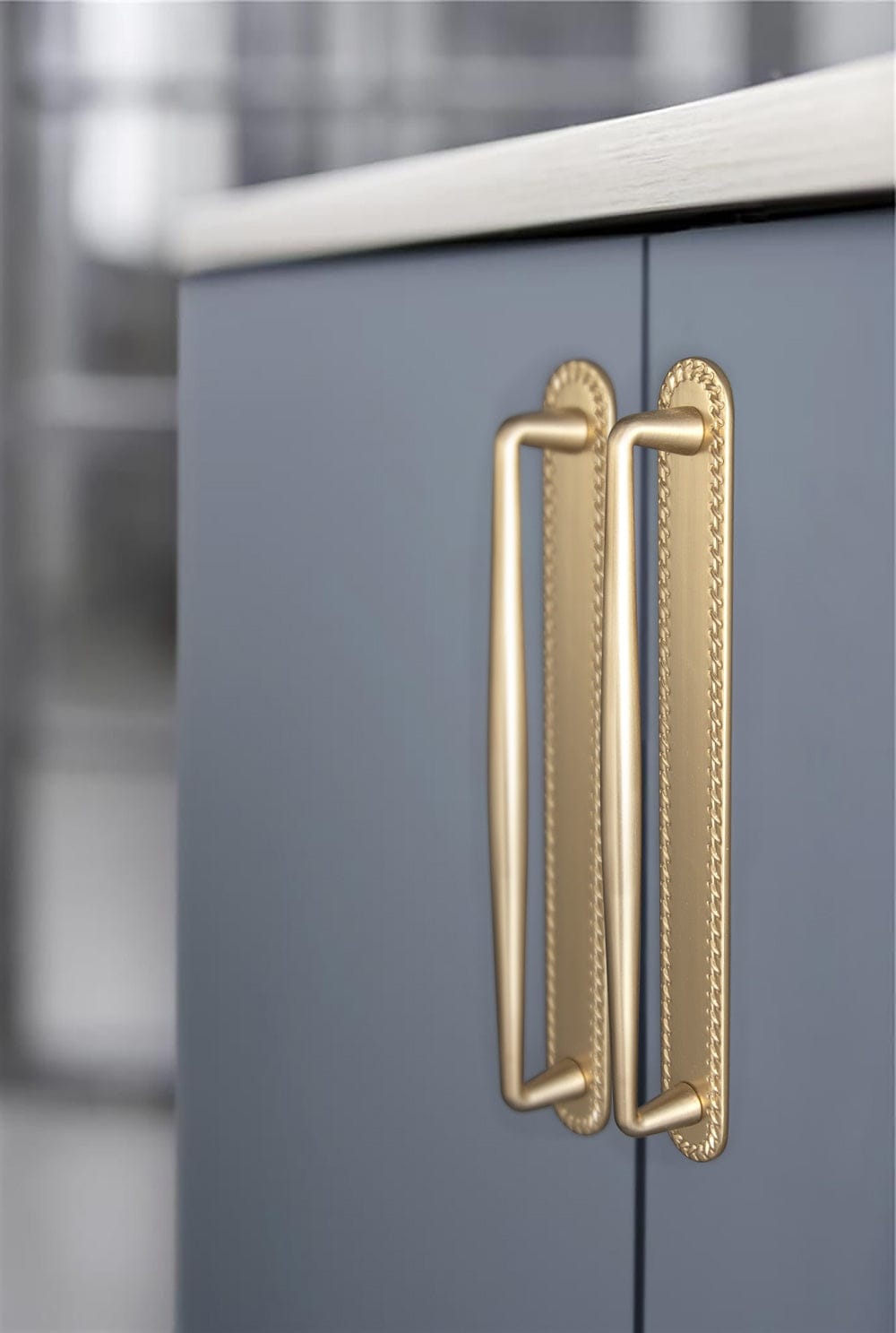 2 Pack Vintage Zinc Alloy Cabinet Pulls with Back Plate - Furniture Handles for Kitchen Cupboards