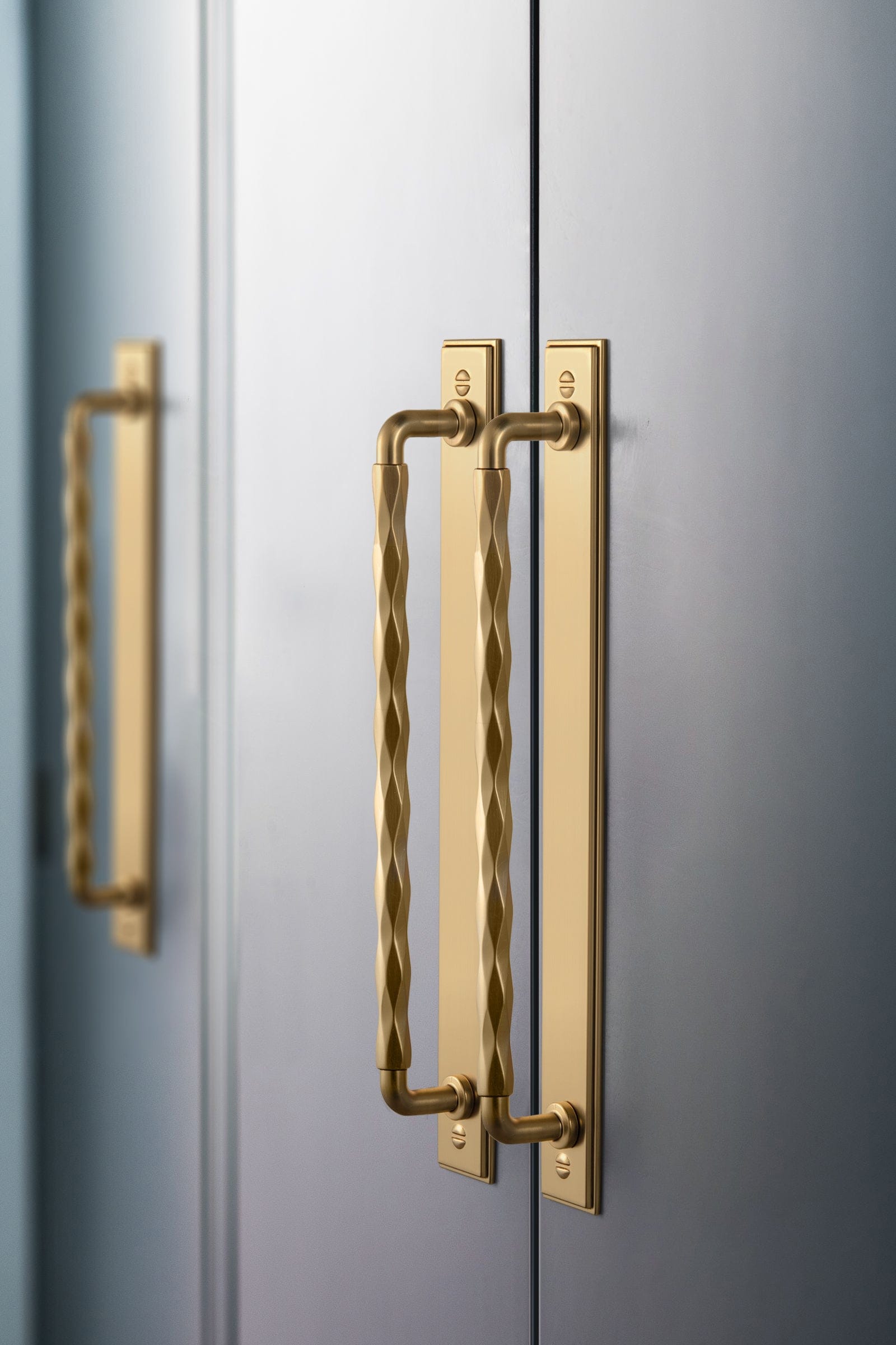 2 Pack Zinc Alloy Drawer Pulls with Back Plate Twisted Design Decorative Handles for Kitchen Cabinets