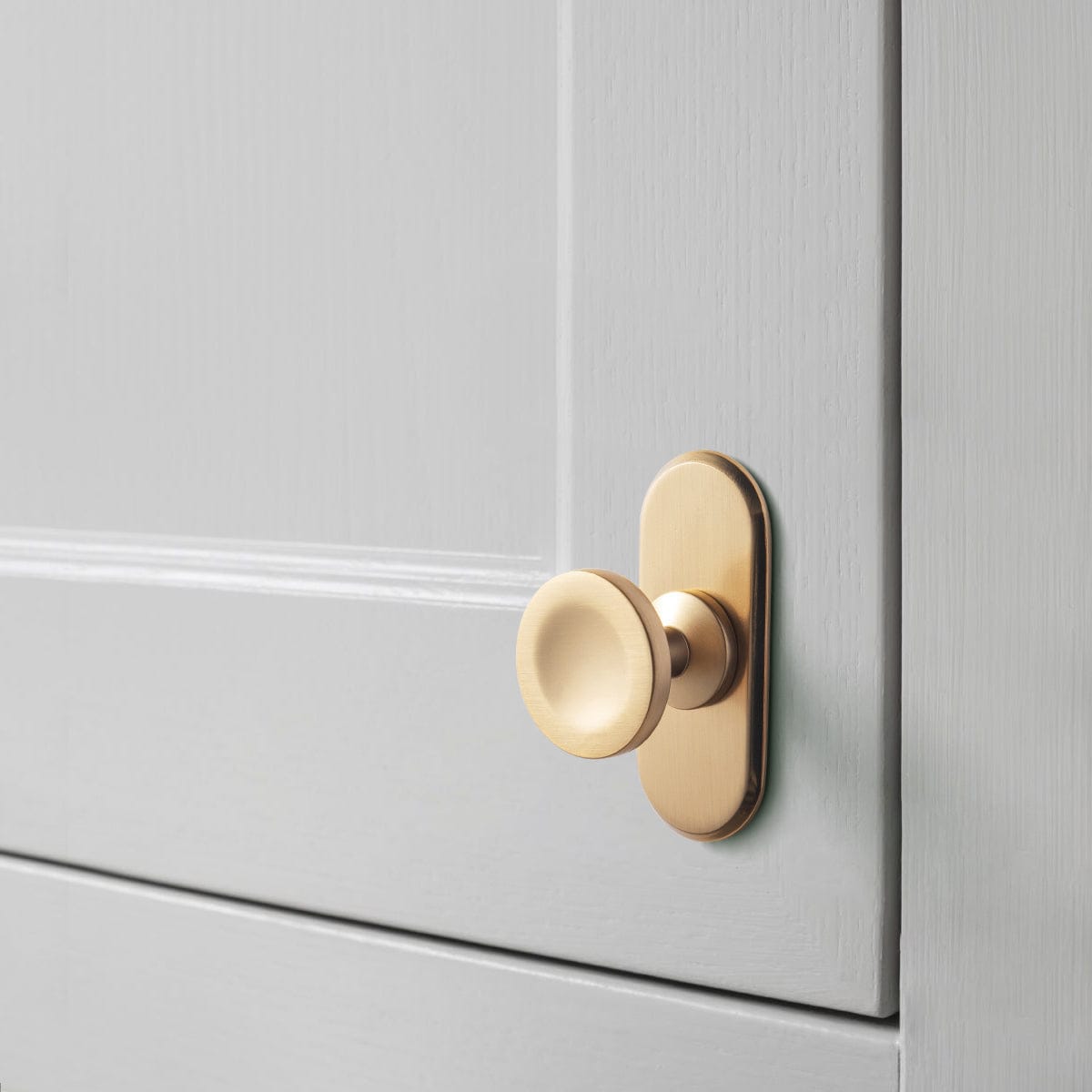 6 Pack Assorted Shaped Zinc Alloy Cabinet Hardware - Knobs and Back Plates for Stylish Furniture