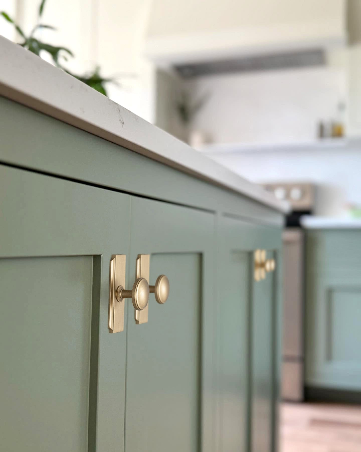 Vintage Retro Bronze Drawer Knob Kitchen Hardware Single Hole Cabinet Knobs with Back Plate