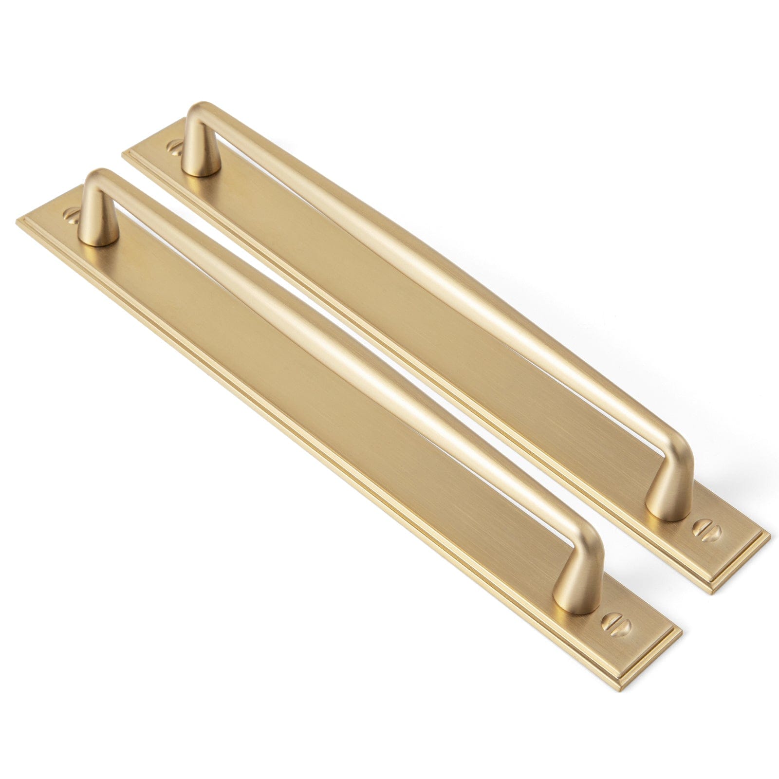 2 Pack Vintage Zinc Alloy Cabinet Pulls with Back Plate - Furniture Handles for Kitchen Cupboards