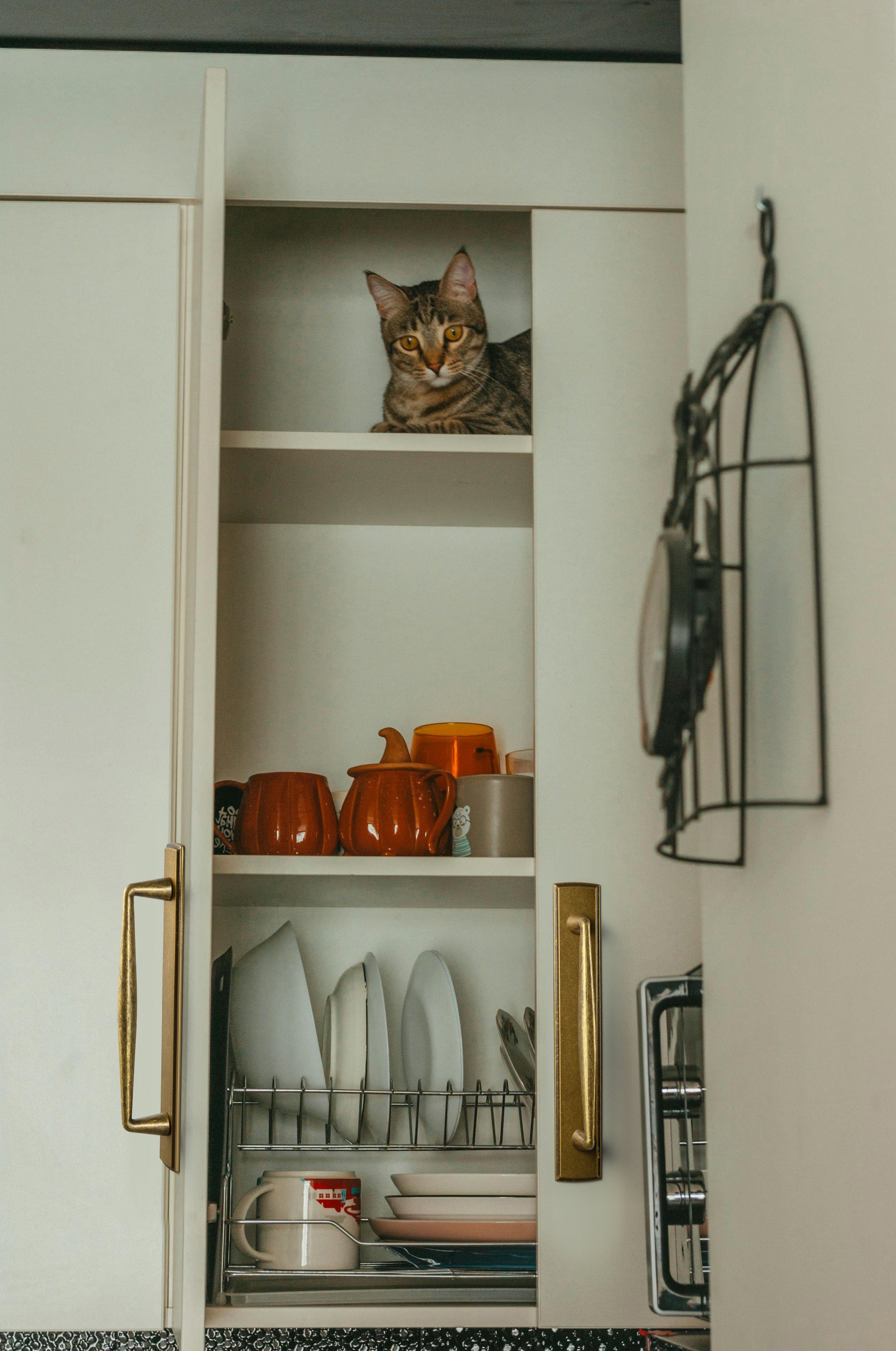 2 Pack Vintage Zinc Alloy Cabinet Pulls with Back Plate - Furniture Handles for Kitchen Cupboards