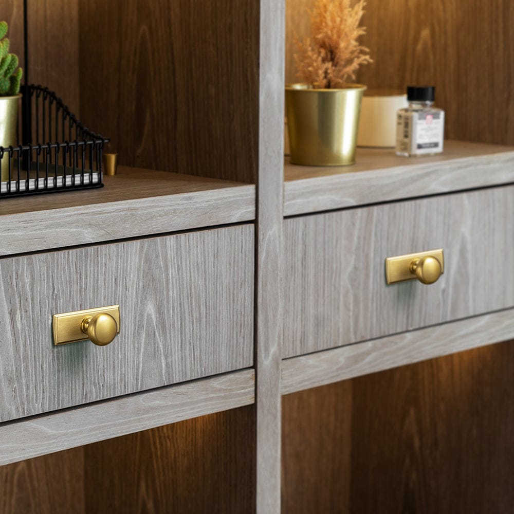 Antique Brass Zinc Alloy Cabinet Knob with Back Plate Single Hole Center Cabinet Hardware for Bedroom Kitchen