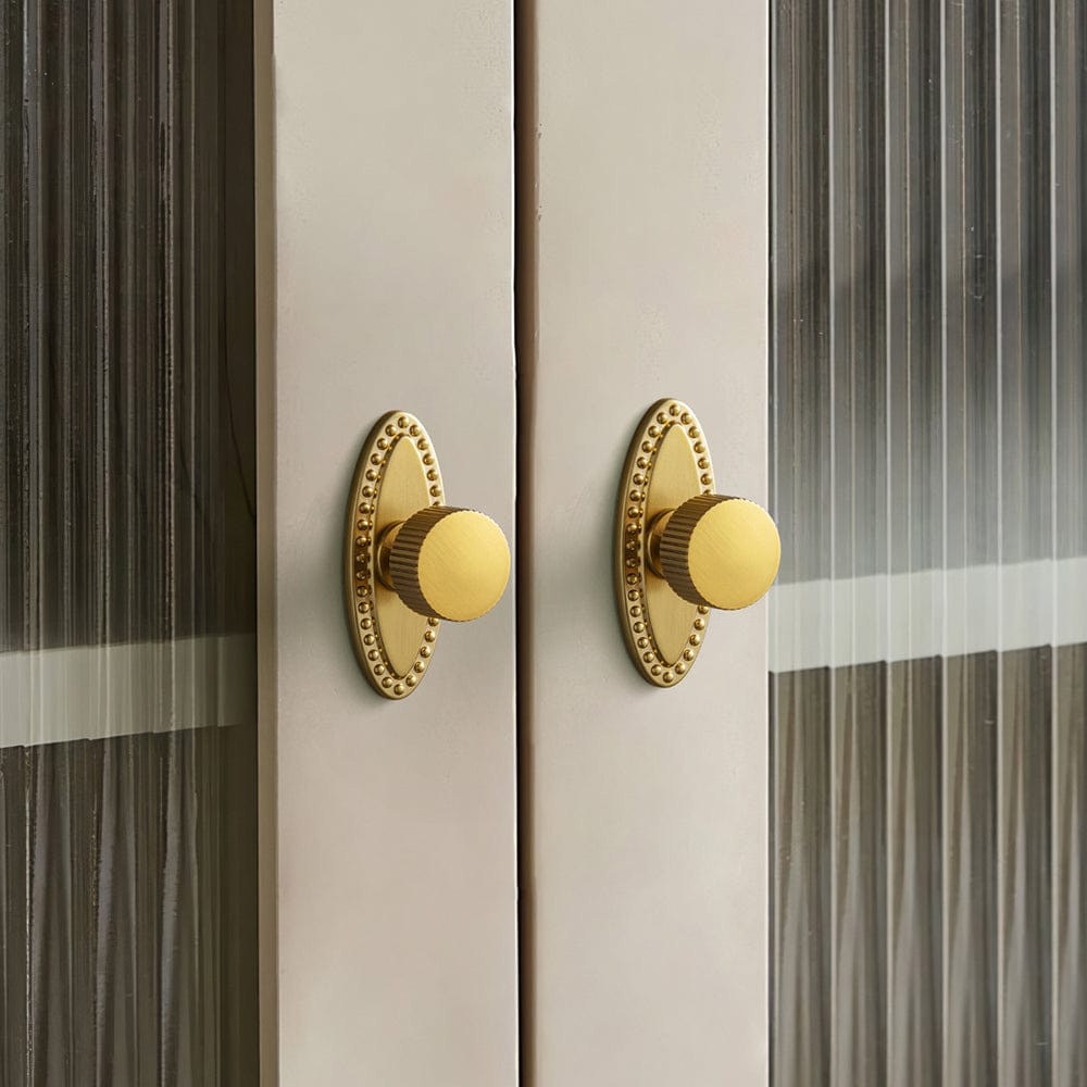 2 Pack Striped Cabinet Pull Retro Brass Cabinet Handles Knobs with Back Plate