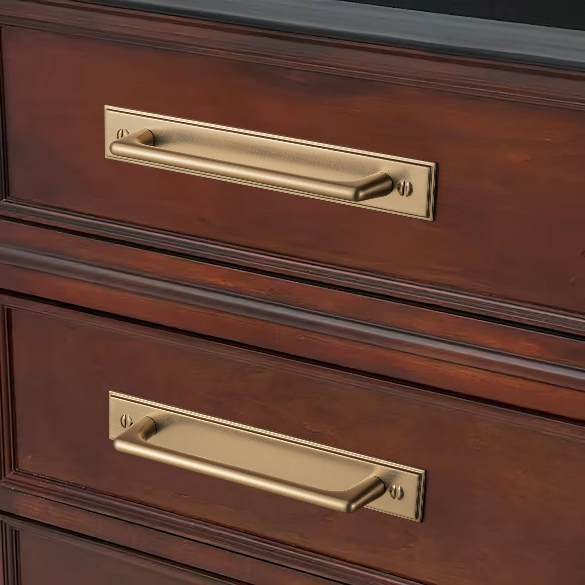 2 Pack Classic Cabinet Bar Pulls with Back Plate Zinc Alloy Cabinet Handle with Long Back Plate