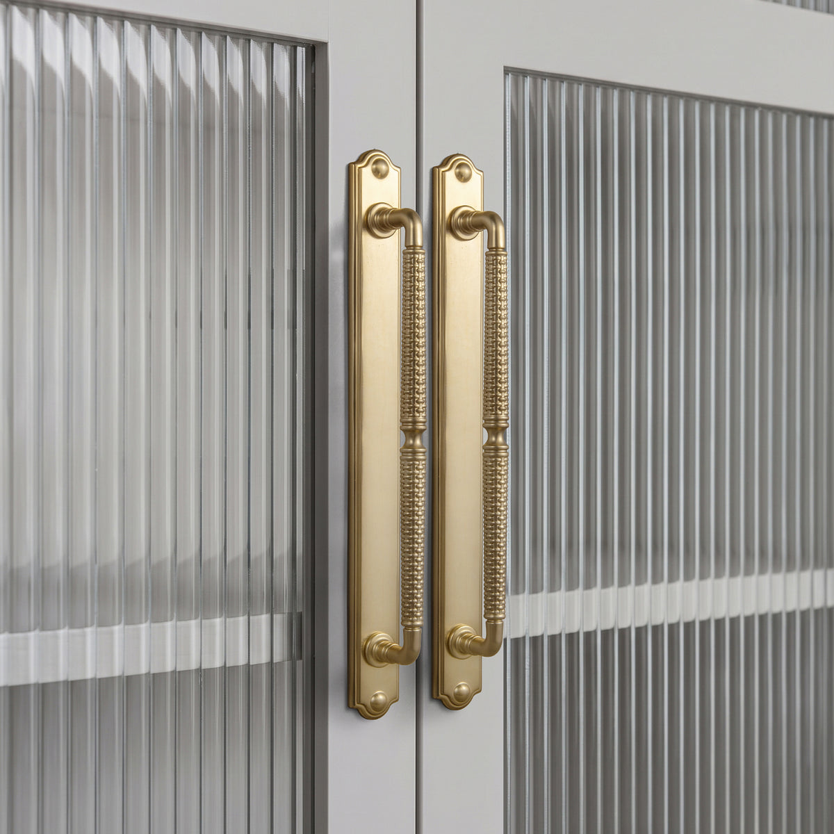 2 Pack Vintage Textured Zinc Alloy Drawer Pull Handles with Backplates for Cabinet & Furniture