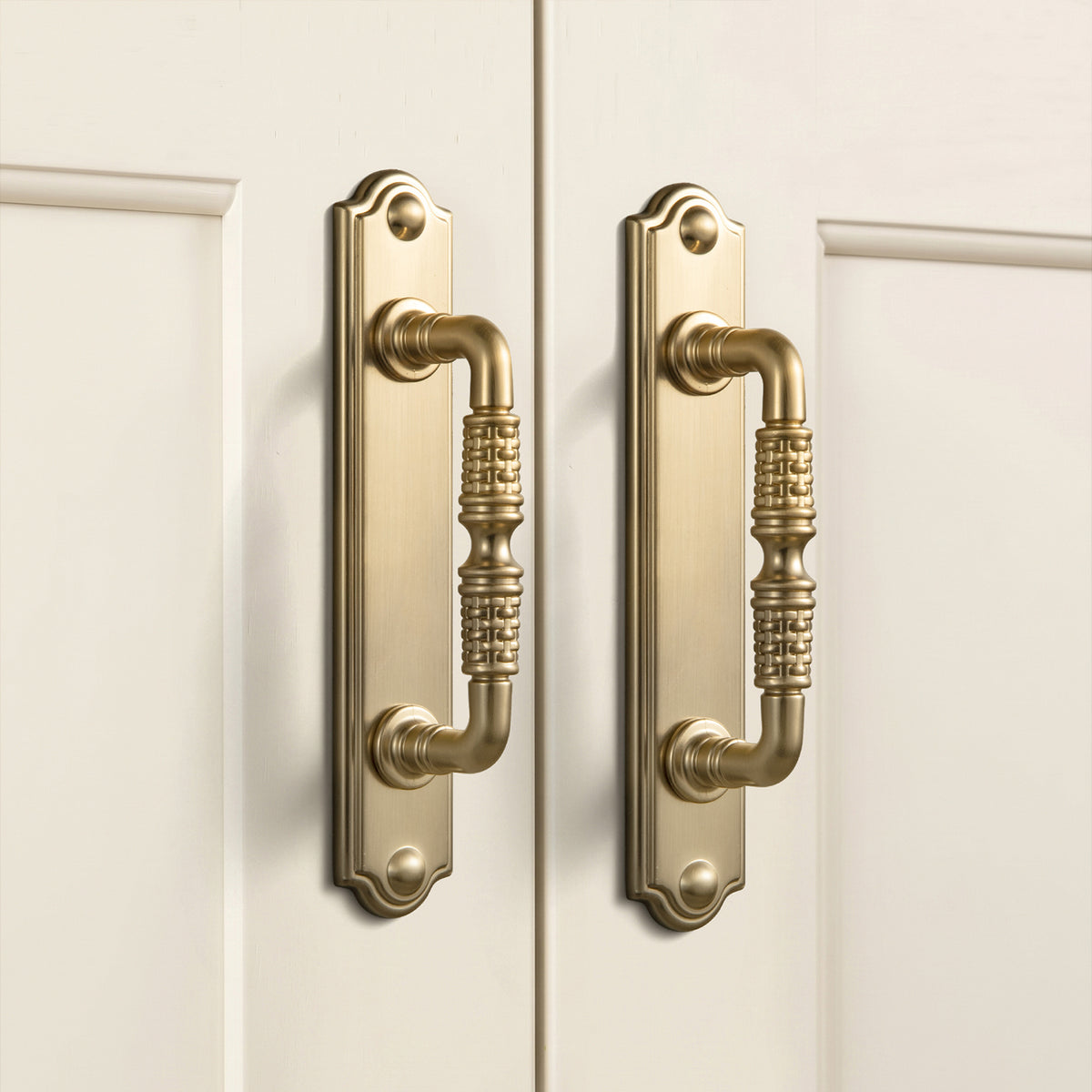 2 Pack Vintage Textured Zinc Alloy Drawer Pull Handles with Backplates for Cabinet & Furniture