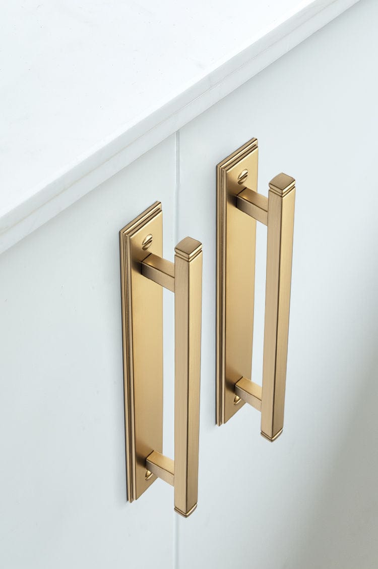 Goo-Ki 2 Pack Antique Brass Zinc Alloy Cabinet Pulls with Back Plate Kitchen Hardware Bar Handles