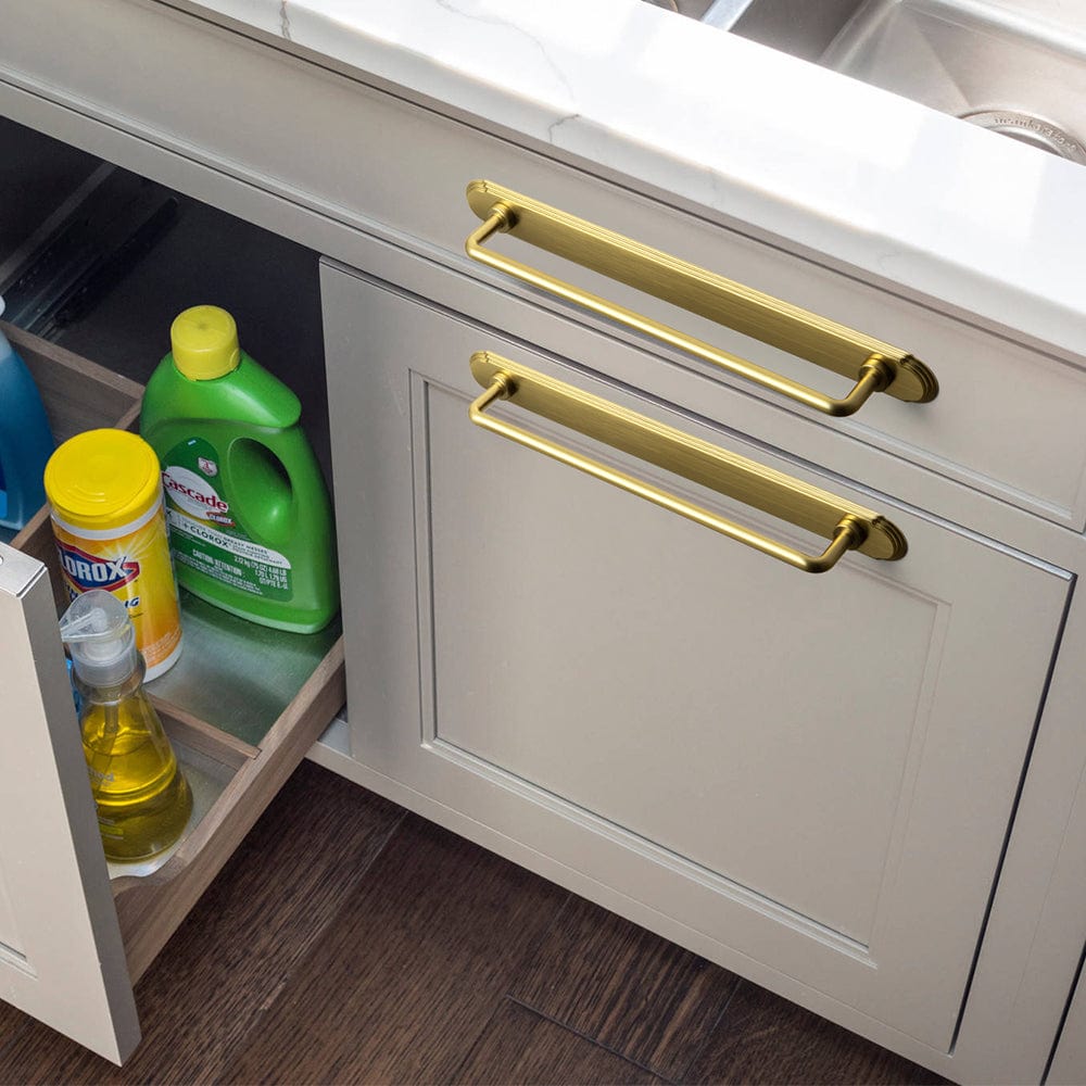 Goo-Ki 2 Pack Cabinet Bar Pulls with Back Plate Vintage Drawer Handles Home Improvement Hardware