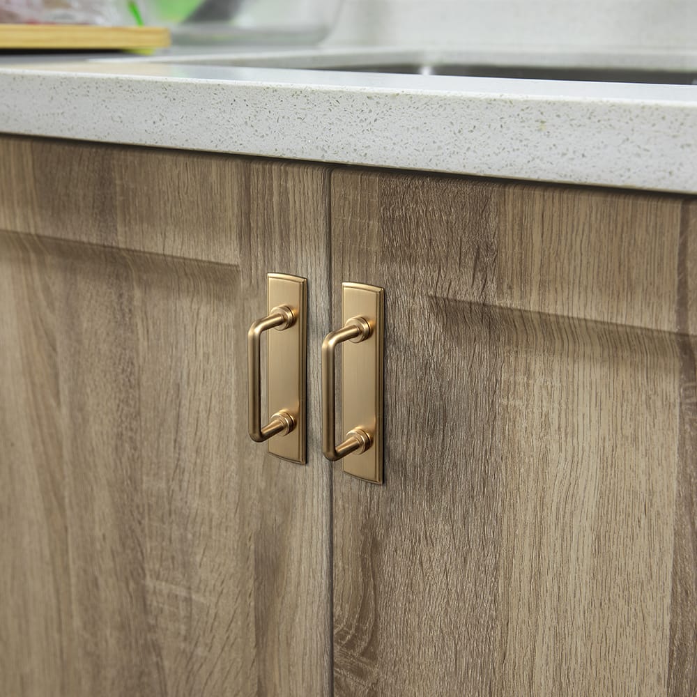 Goo-Ki 2 Pack Cabinet Bar Pulls with Back Plate Vintage Drawer Handles Home Improvement Hardware