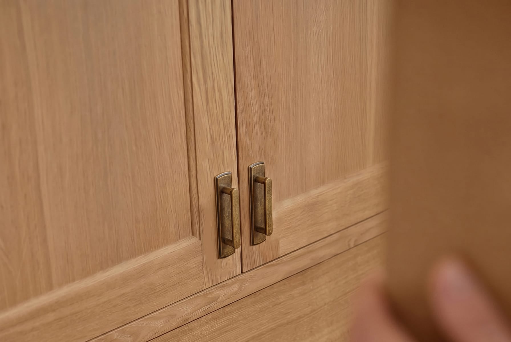 Goo-Ki 2 Pack Cabinet Handles with Back Plate Vintage Kitchen Drawer Pulls with Subtle Curves
