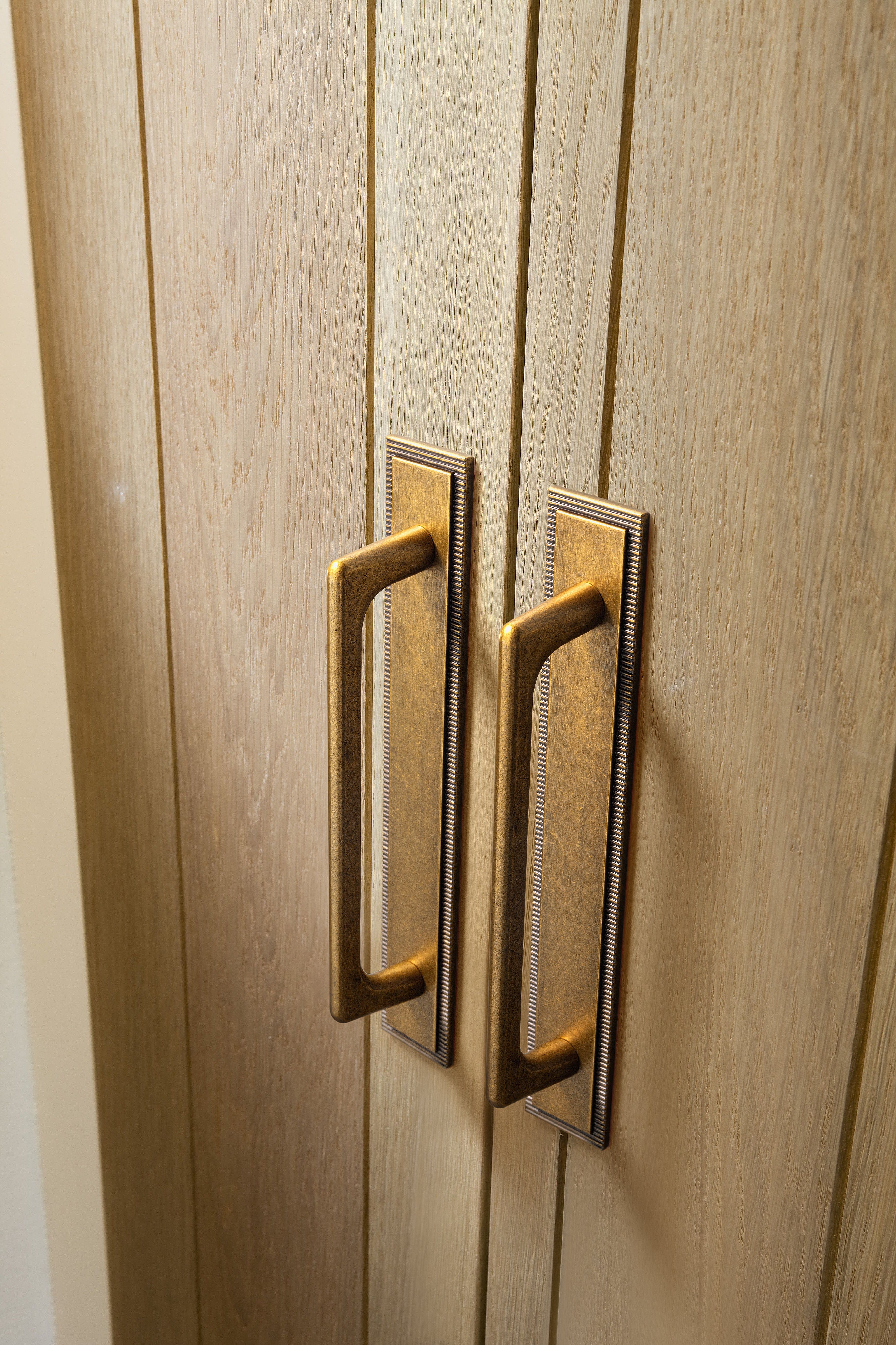 Goo-Ki 2 Pack Classic Cabinet Bar Pulls with Back Plate Zinc Alloy Cabinet Handle with Long Back Plate