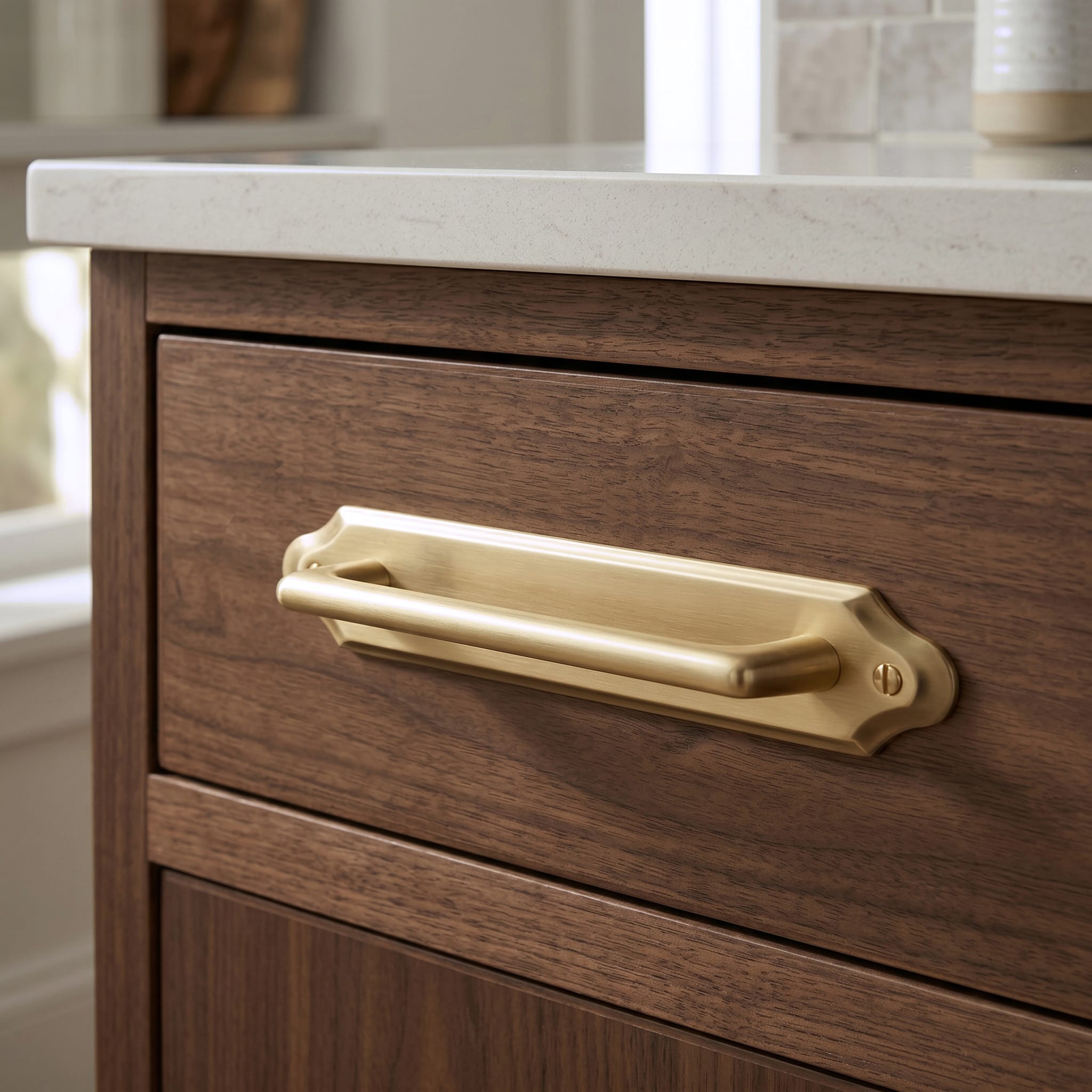 Goo-Ki 2 Pack Decorative Cabinet Bar Pulls with Back Plate Zinc Alloy Cabinet Handle with Long Back Plate
