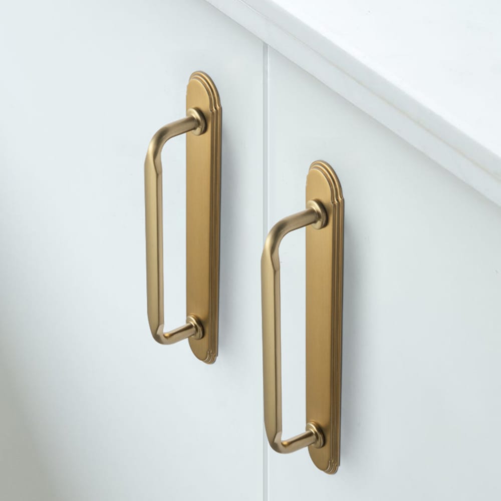 Goo-Ki 2 Pack Elegant Vintage Zinc Alloy Cabinet Handles with Long Backplate, Classic Furniture Hardware for Cabinets, Wardrobes & Dressers