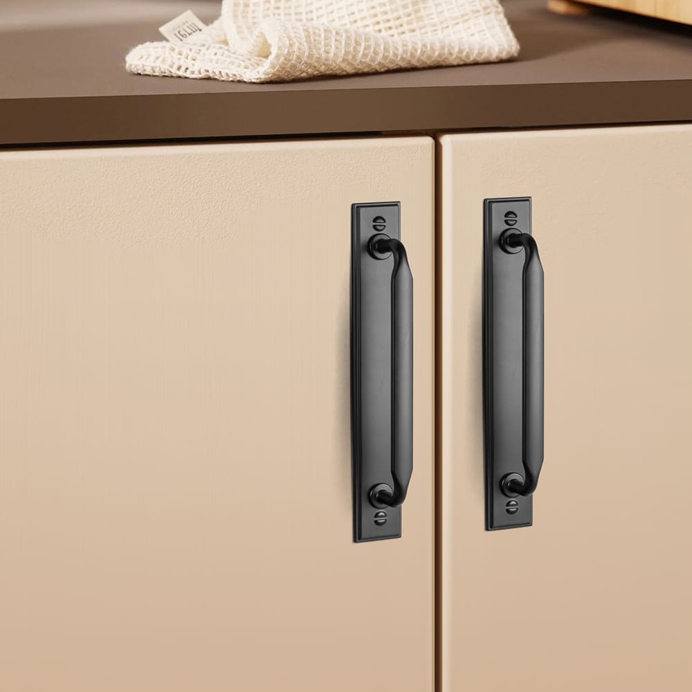 Goo-Ki 2 Pack Elegant Vintage Zinc Alloy Cabinet Handles with Long Backplate, Classic Furniture Hardware for Cabinets, Wardrobes & Dressers