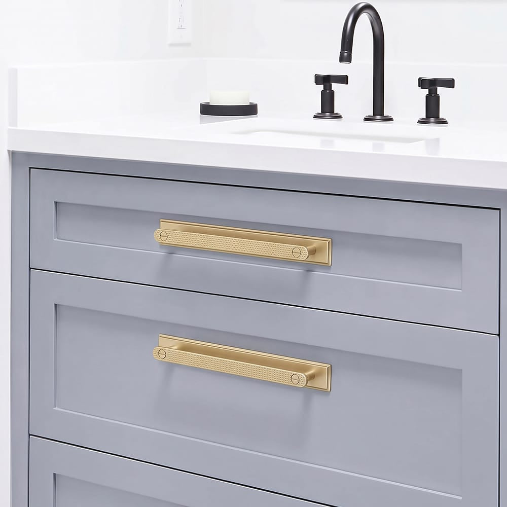 Goo-Ki 2 Pack Mid-Century Cabinet Pulls, Zinc Alloy Drawer Handles with Embossed Grid Backplate, Kitchen & Furniture Replacement Hardware