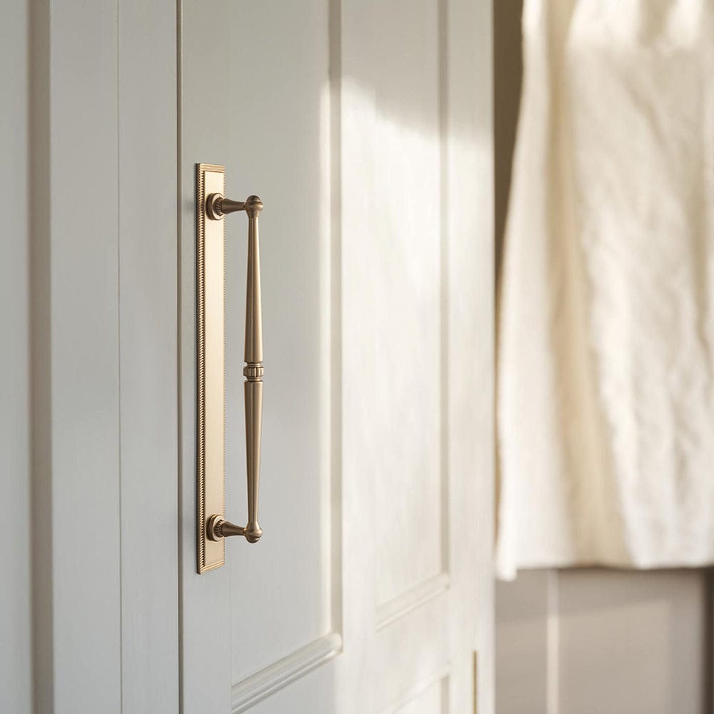 Goo-Ki 2 Pack Ornate Vintage Brass Drawer Pulls - Classic Cabinet Handles with Decorative Back Plates
