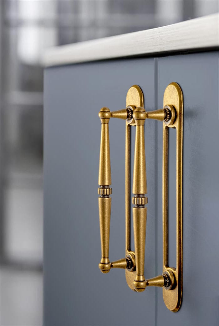 Goo-Ki 2 Pack Ornate Vintage Brass Drawer Pulls - Classic Cabinet Handles with Decorative Back Plates
