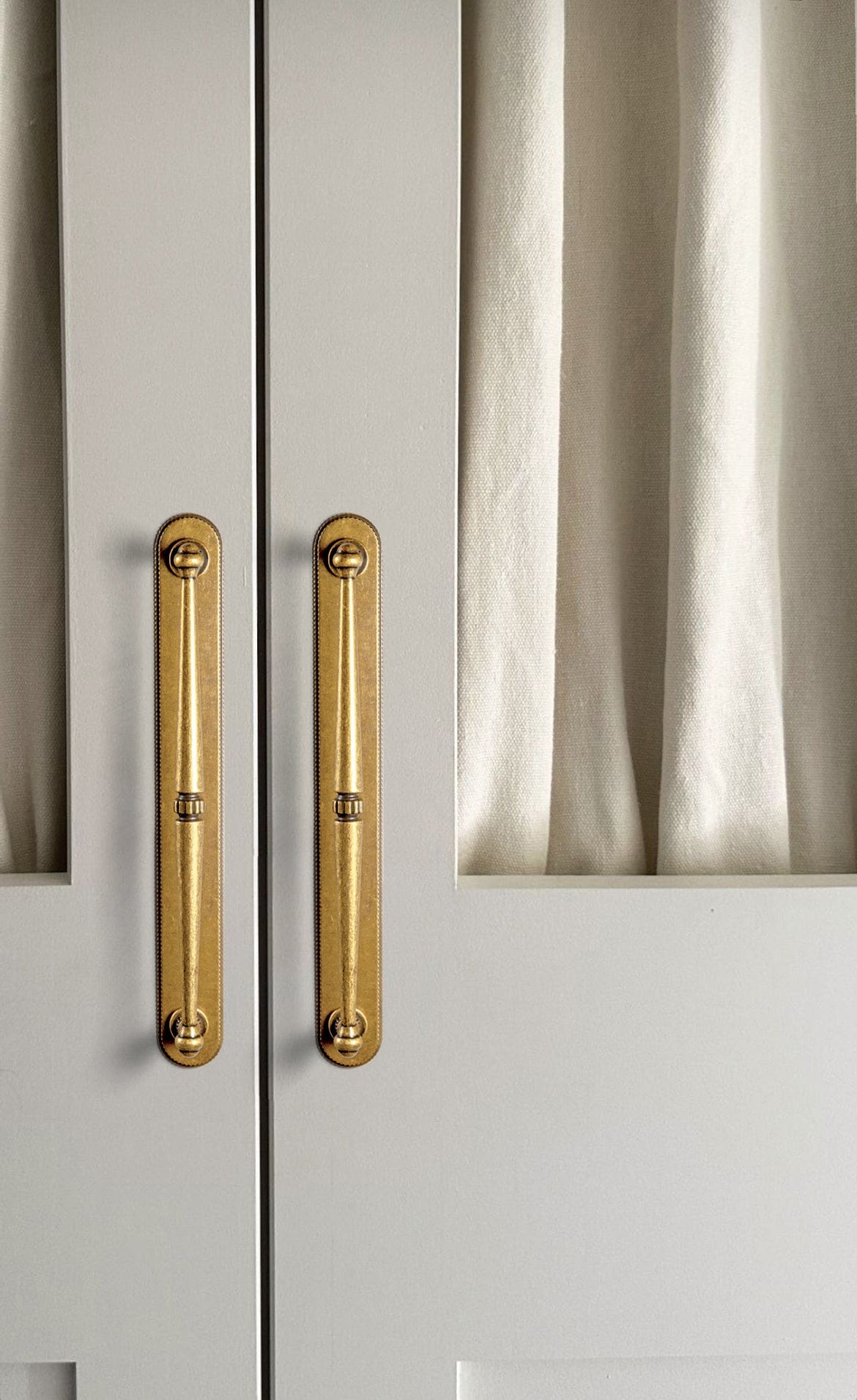 Goo-Ki 2 Pack Ornate Vintage Brass Drawer Pulls - Classic Cabinet Handles with Decorative Back Plates