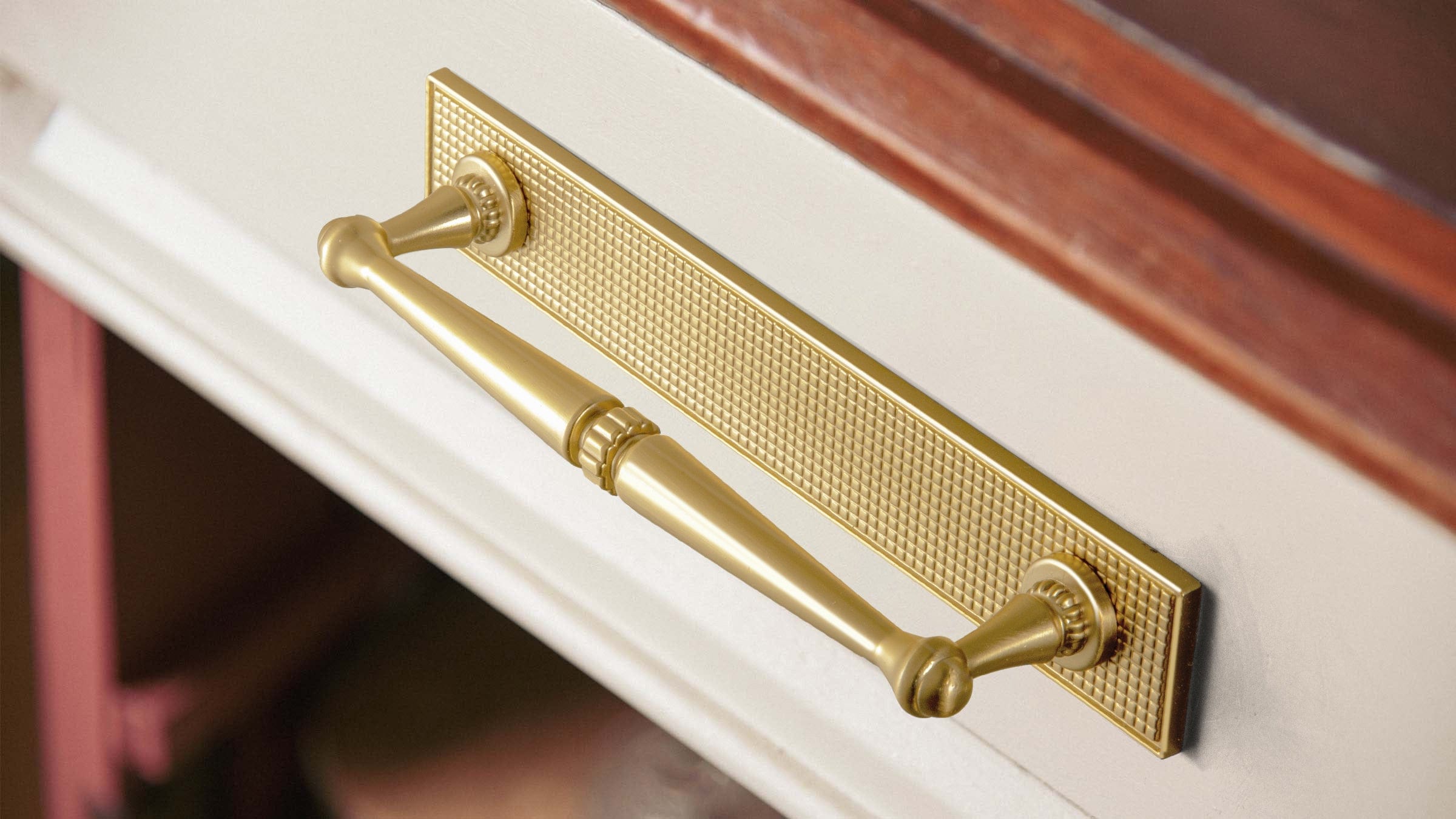 Goo-Ki 2 Pack Ornate Vintage Brass Drawer Pulls - Classic Cabinet Handles with Decorative Back Plates