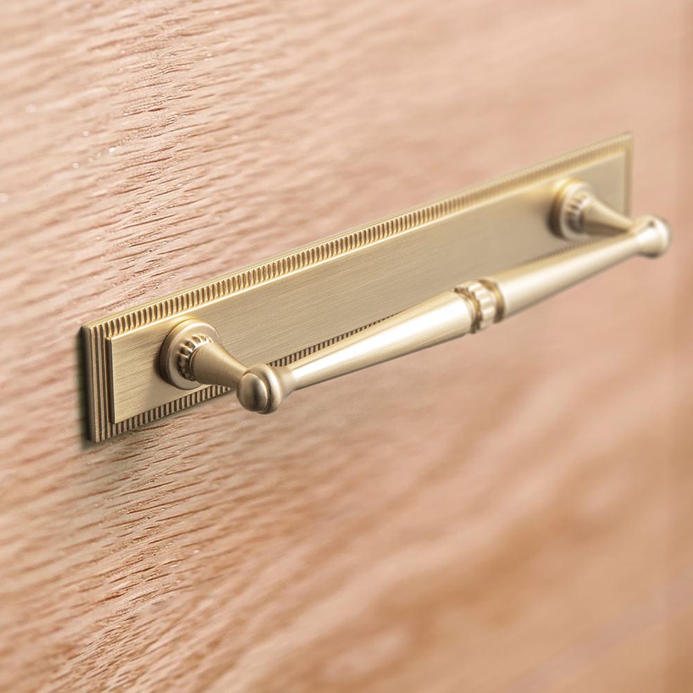 Goo-Ki 2 Pack Ornate Vintage Brass Drawer Pulls - Classic Cabinet Handles with Decorative Back Plates