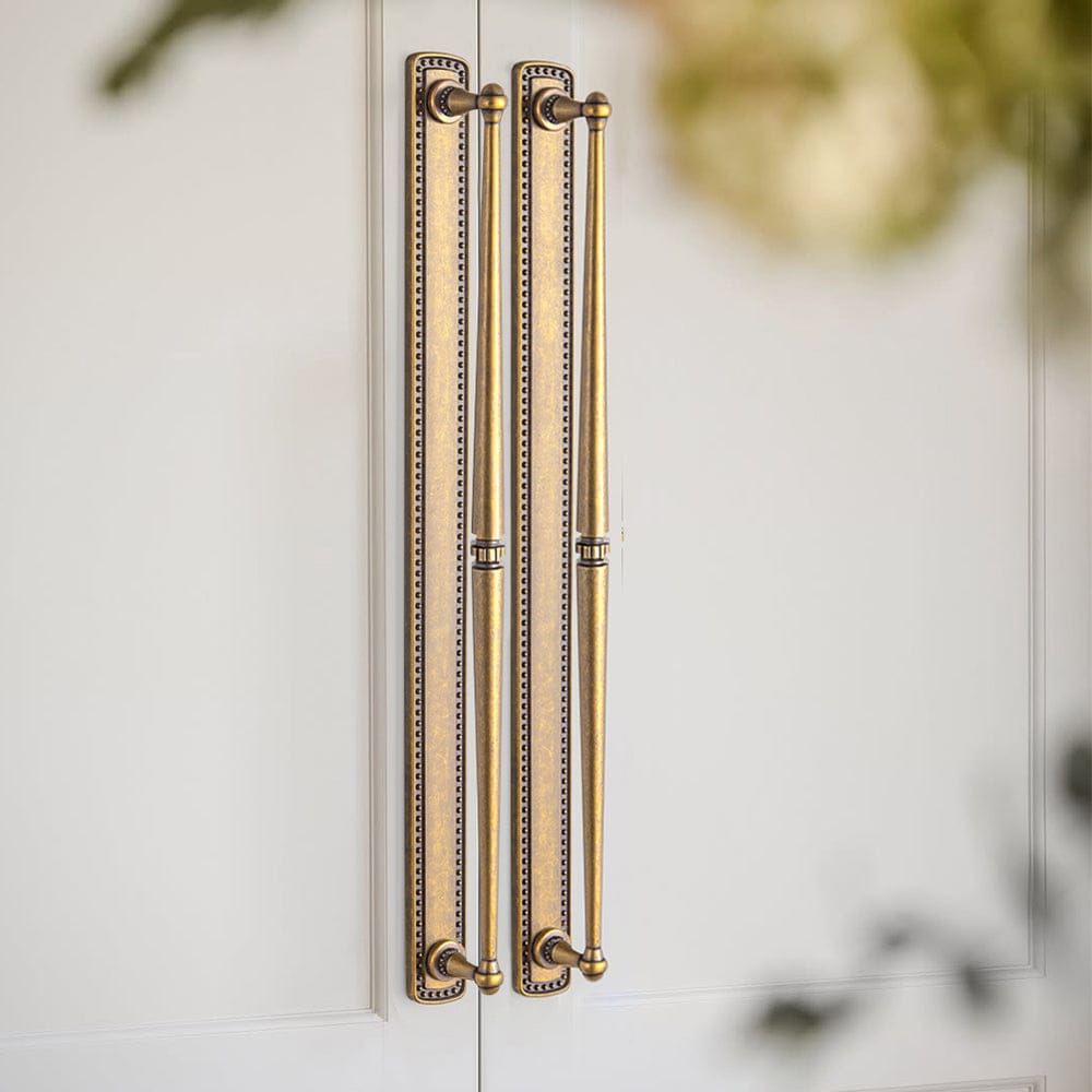 Goo-Ki 2 Pack Ornate Vintage Brass Drawer Pulls - Classic Cabinet Handles with Decorative Back Plates