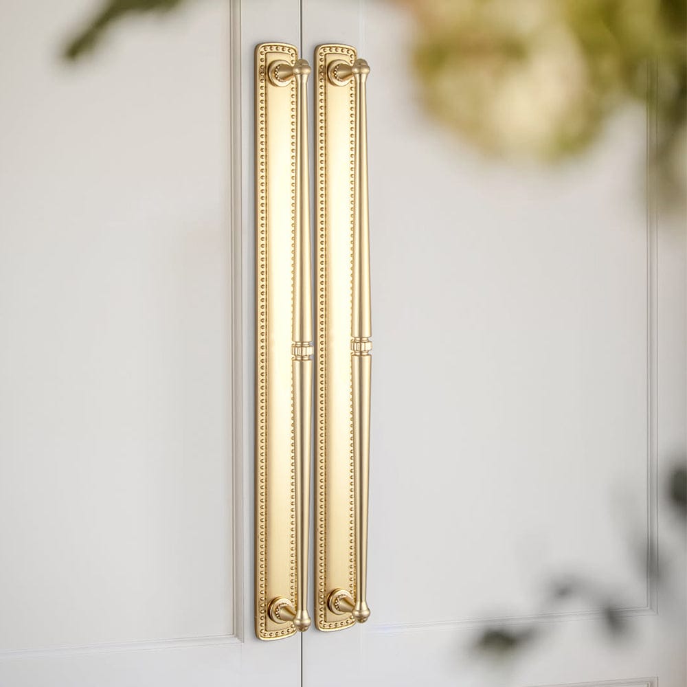 Goo-Ki 2 Pack Ornate Vintage Brass Drawer Pulls - Classic Cabinet Handles with Decorative Back Plates