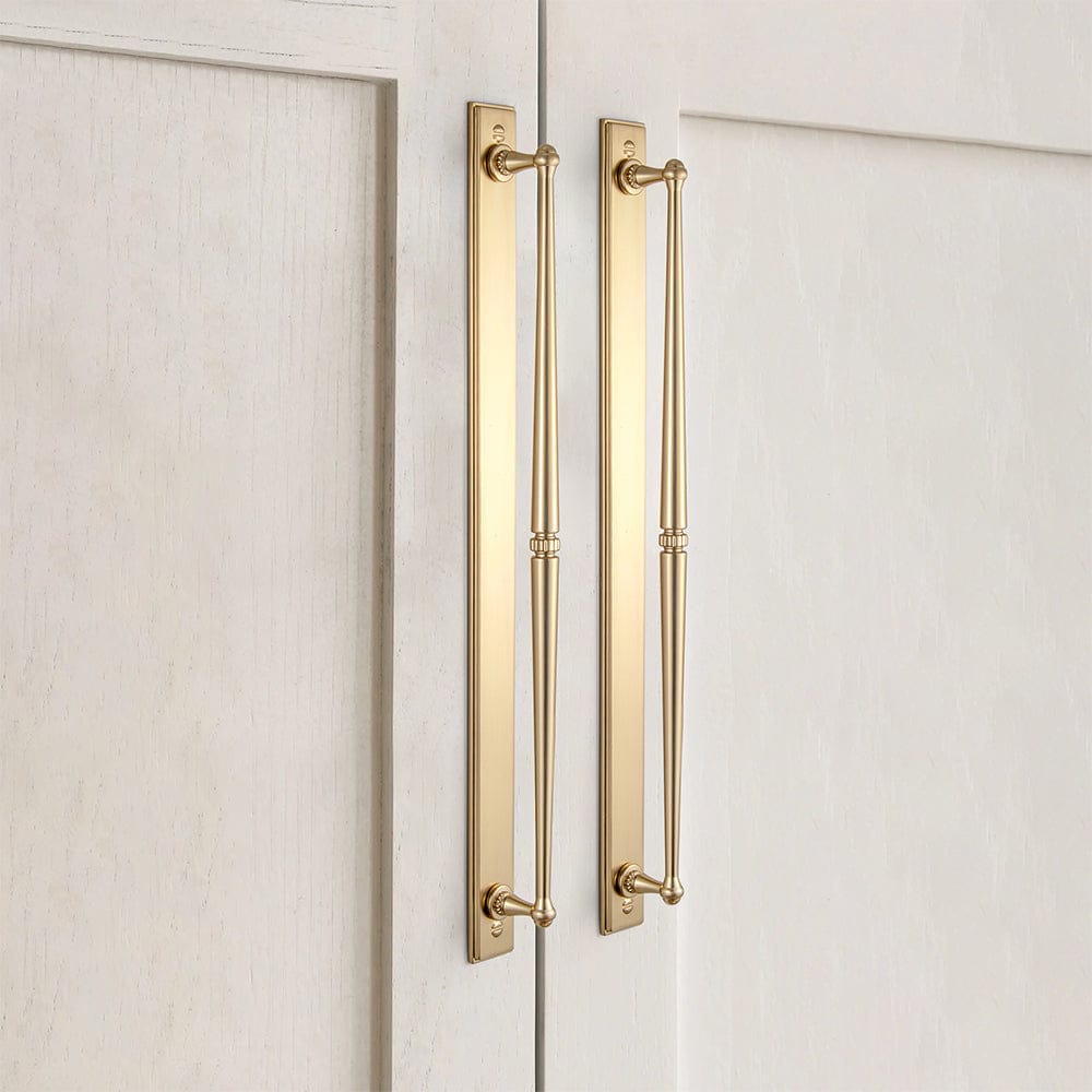 Goo-Ki 2 Pack Ornate Vintage Brass Drawer Pulls - Classic Cabinet Handles with Decorative Back Plates