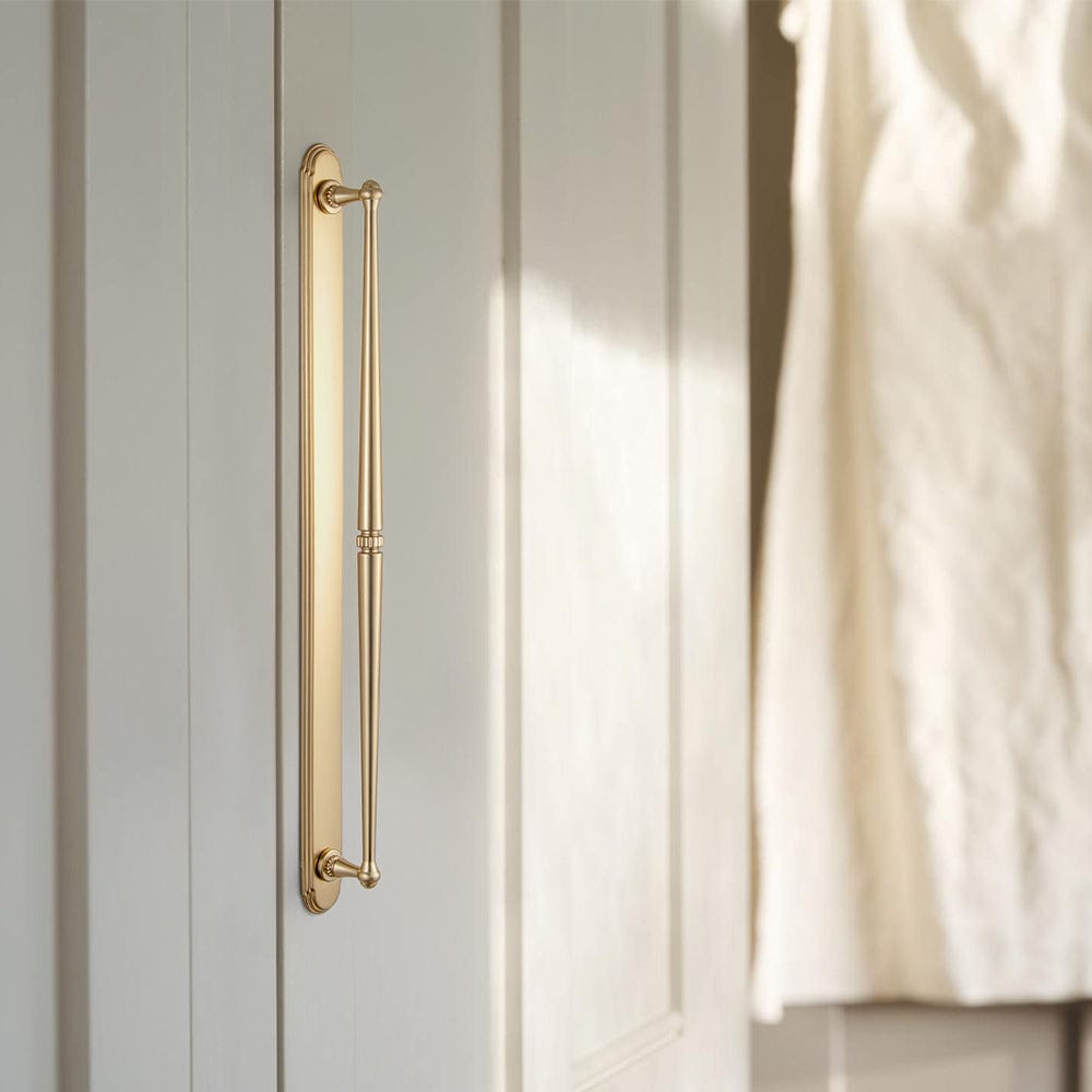 Goo-Ki 2 Pack Ornate Vintage Brass Drawer Pulls - Classic Cabinet Handles with Decorative Back Plates