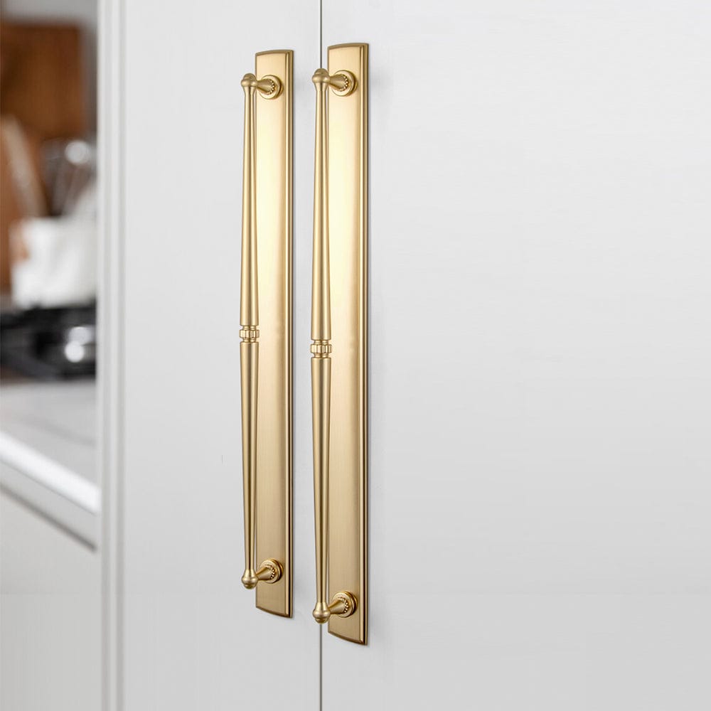 Goo-Ki 2 Pack Ornate Vintage Brass Drawer Pulls - Classic Cabinet Handles with Decorative Back Plates