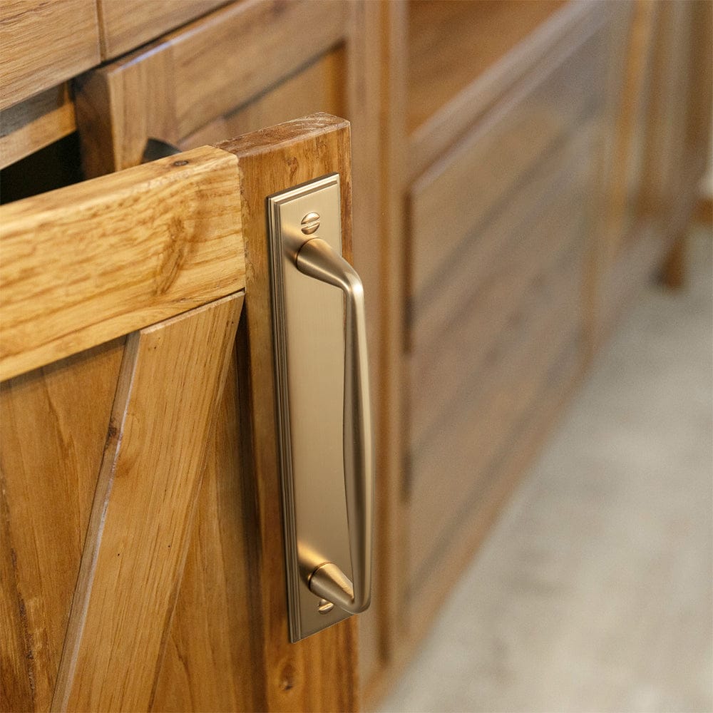 Goo-Ki 2 Pack Vintage Zinc Alloy Cabinet Pulls with Back Plate - Furniture Handles for Kitchen Cupboards