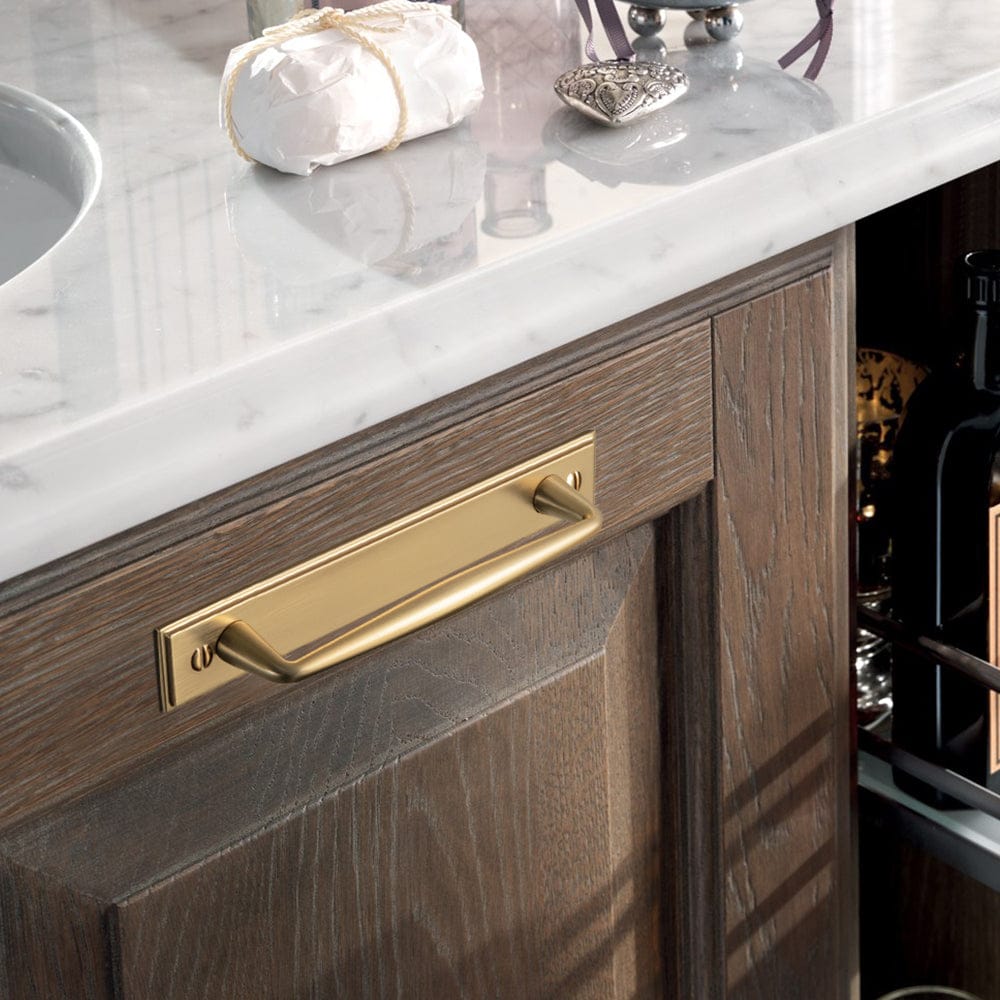 Goo-Ki 2 Pack Vintage Zinc Alloy Cabinet Pulls with Back Plate - Furniture Handles for Kitchen Cupboards