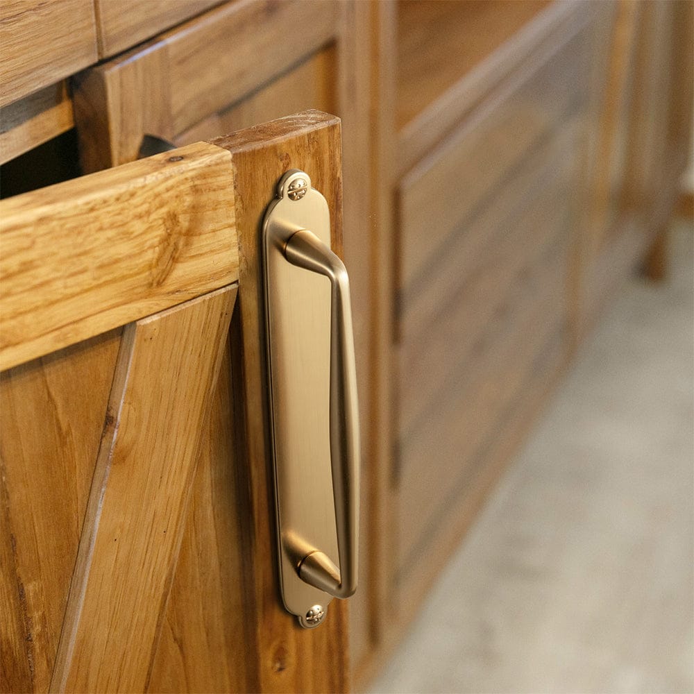 Goo-Ki 2 Pack Vintage Zinc Alloy Cabinet Pulls with Back Plate - Furniture Handles for Kitchen Cupboards